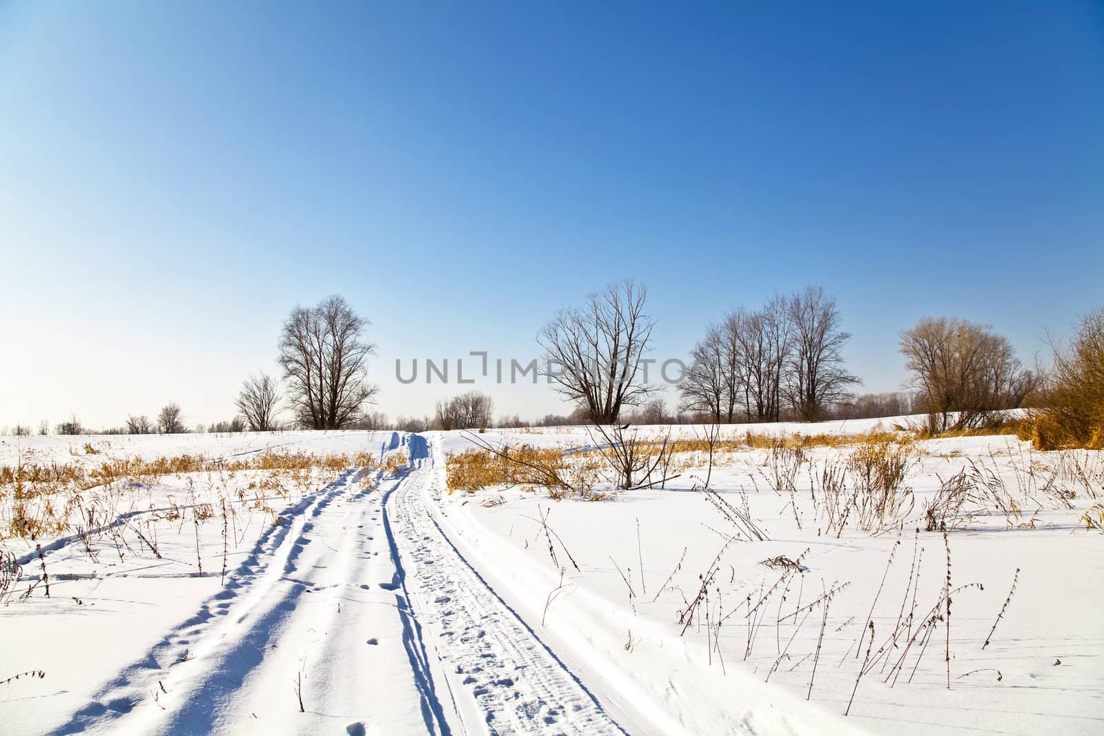 Winter landscape with snow by Oledjio