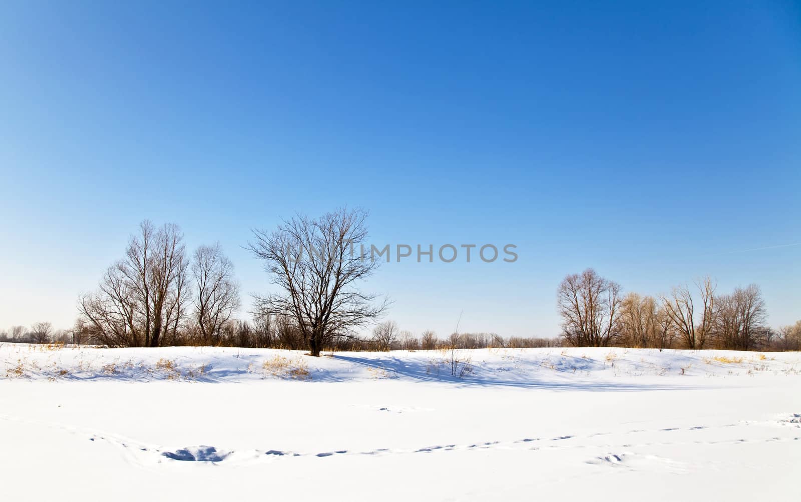 Winter landscape with snow. Russian winter.