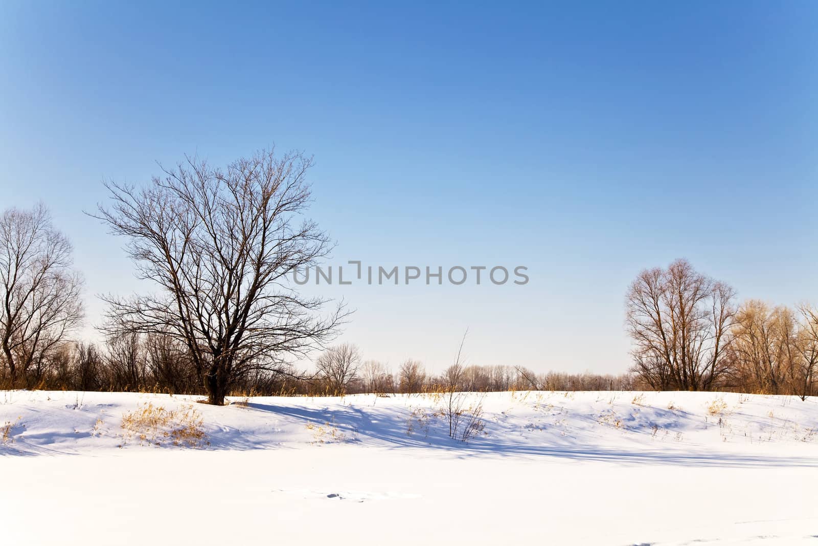 Winter landscape with snow. Russian winter
