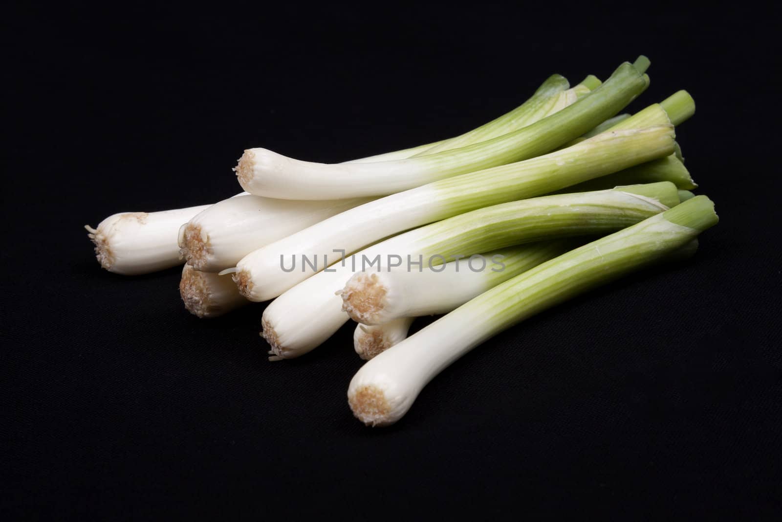 Fresh baby  leek on isolated on a black background