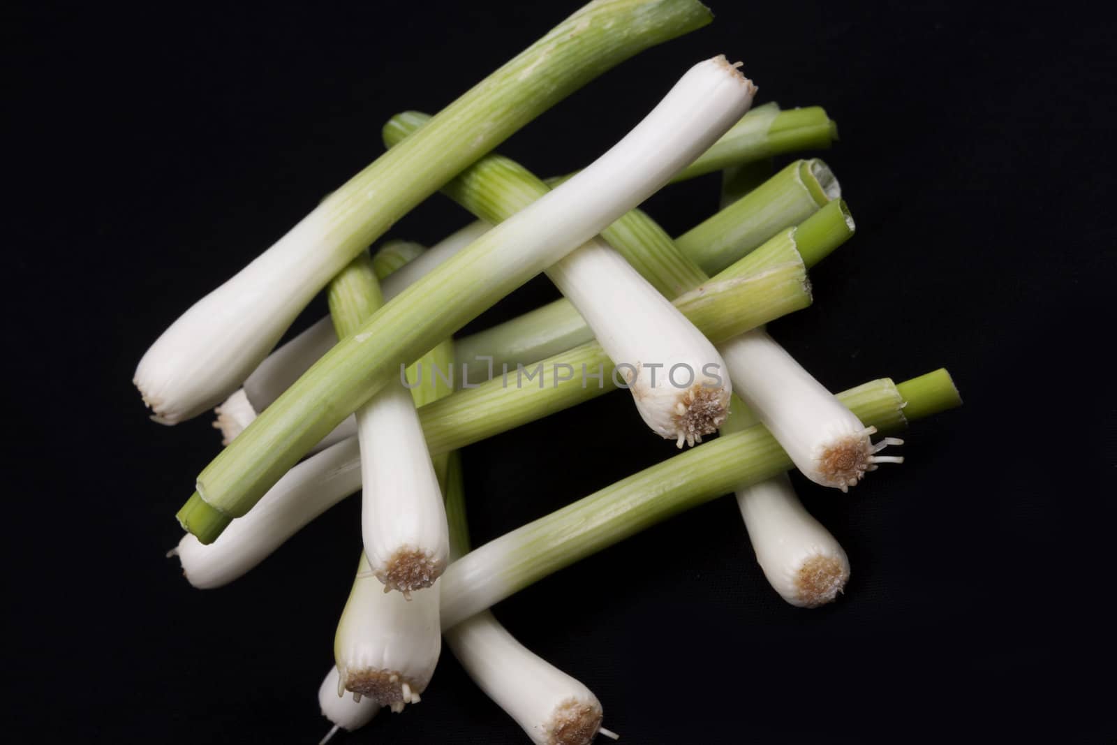 Fresh baby  leek on isolated on a black background