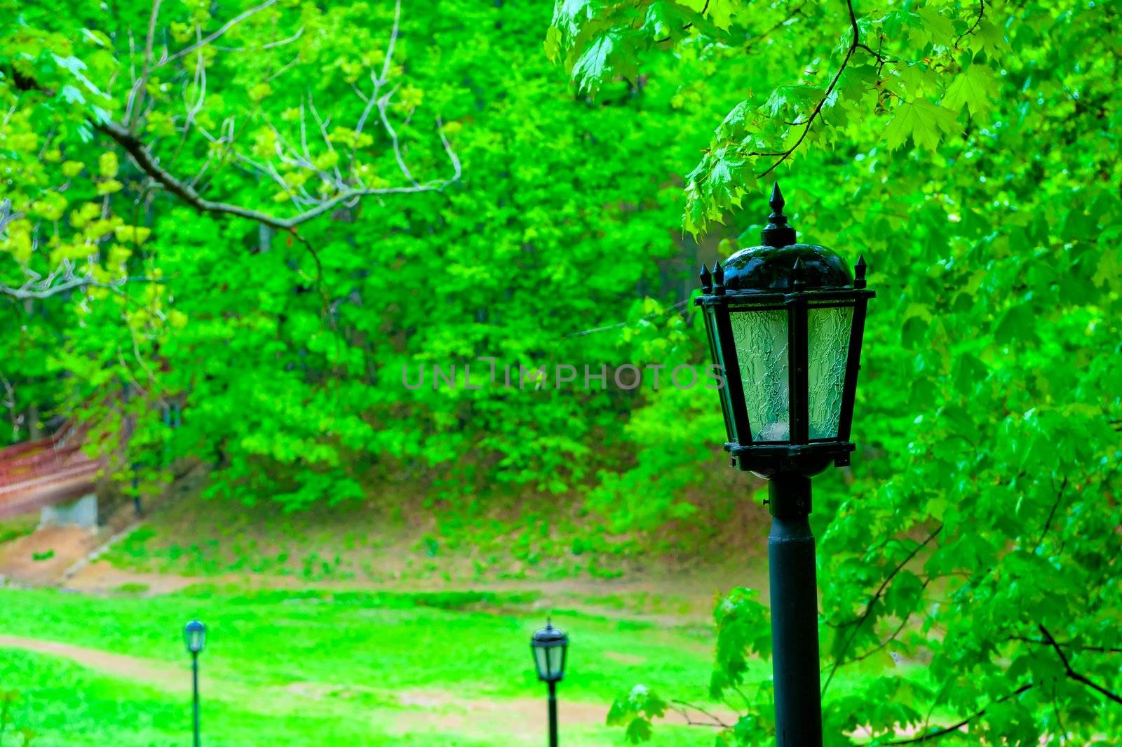 Street lamp in the old style, in the park