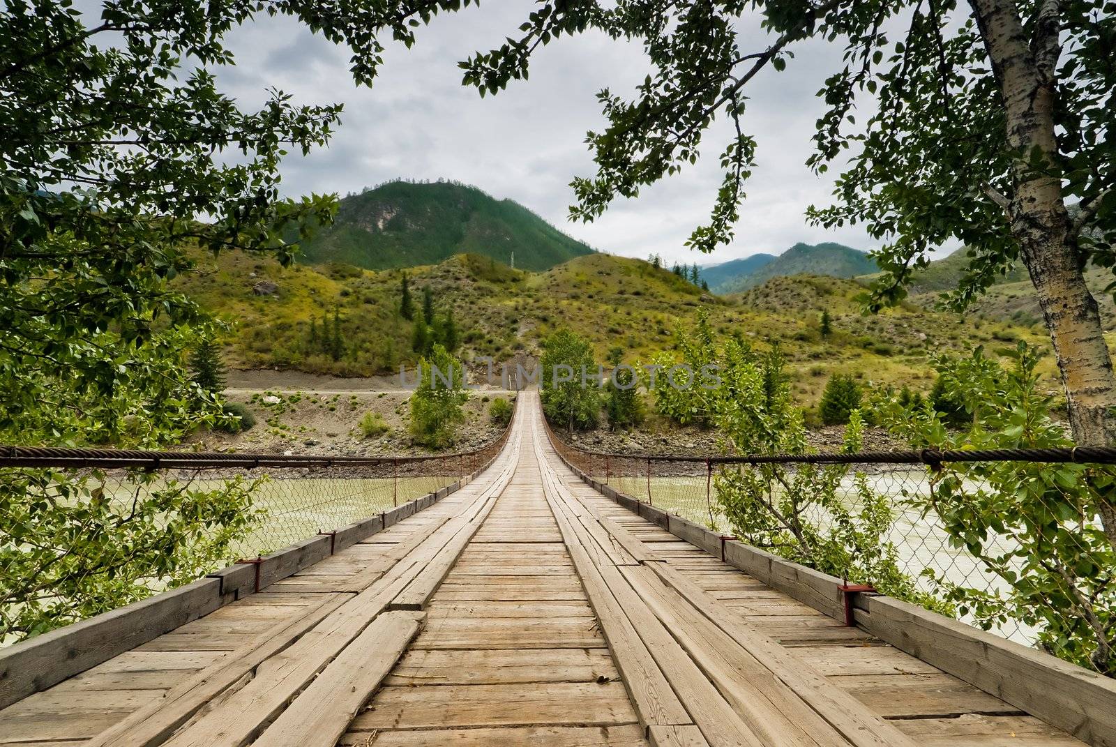 Wooden suspension road bridge on the river Katun. Altai Mountains, Russia.
