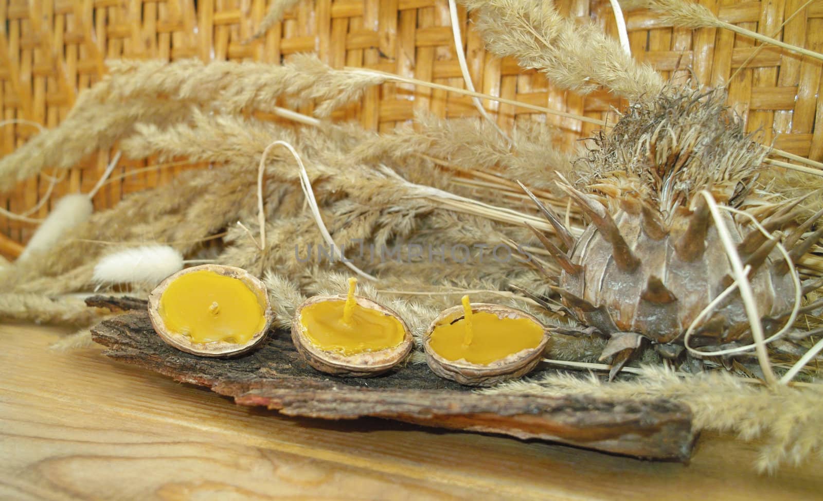 beeswax and walnut shell floating candles votives