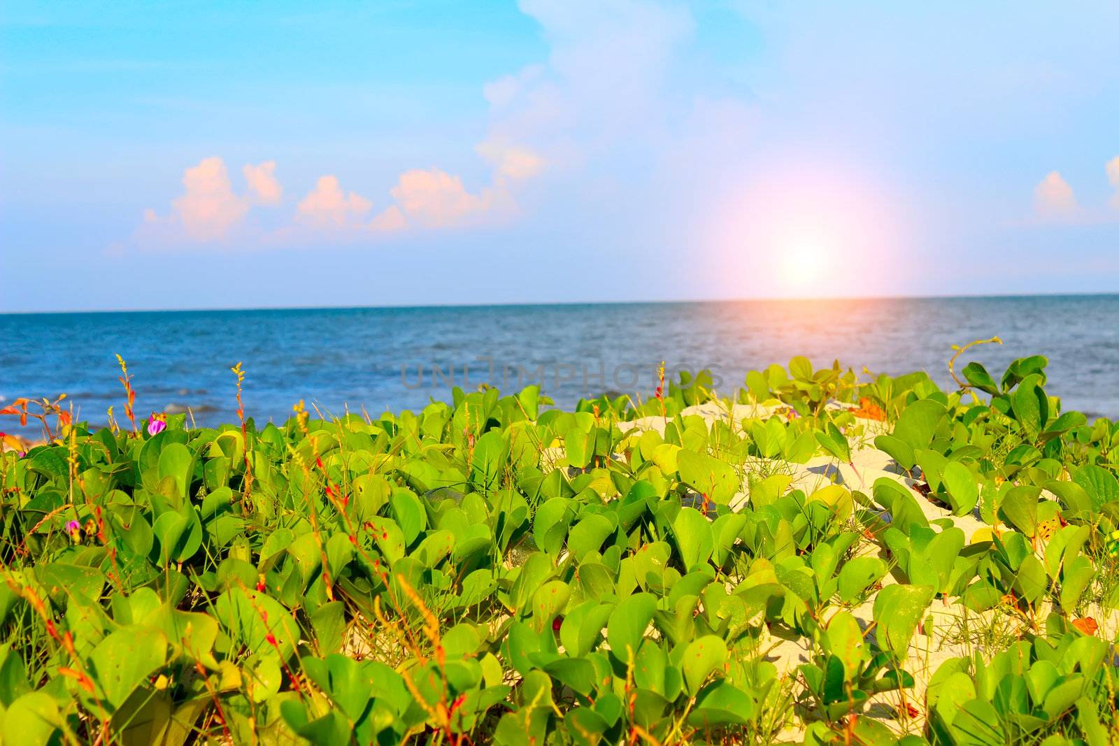 beach of china by dinhngochung