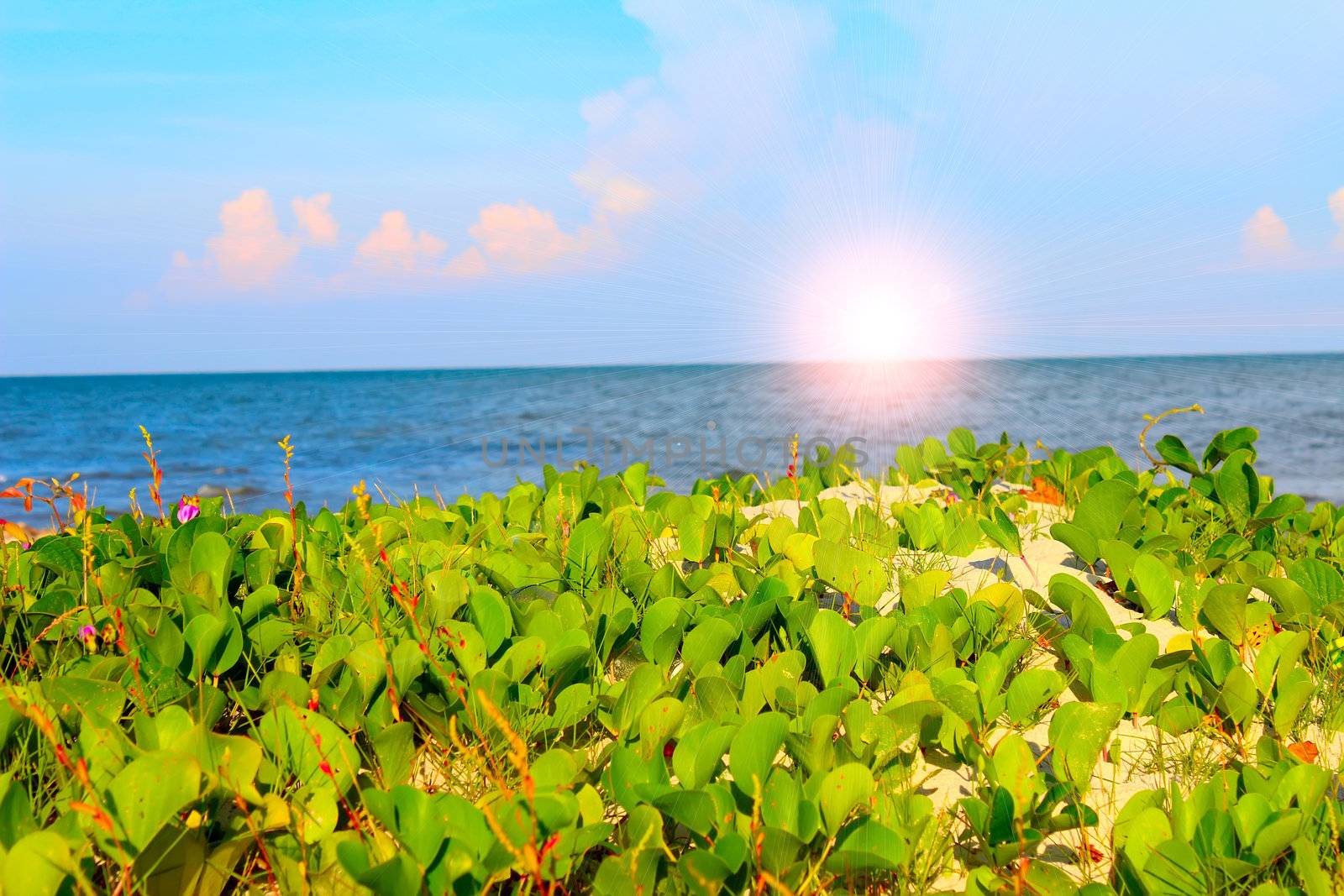 beach of china