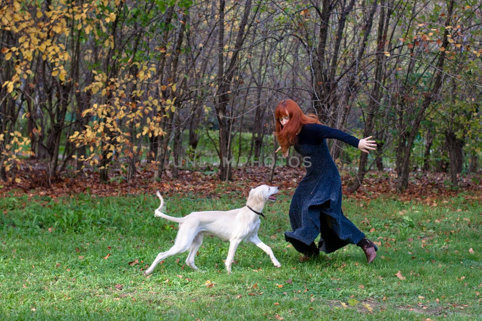 A girl in a black dress and white saliki pup in a forest 
