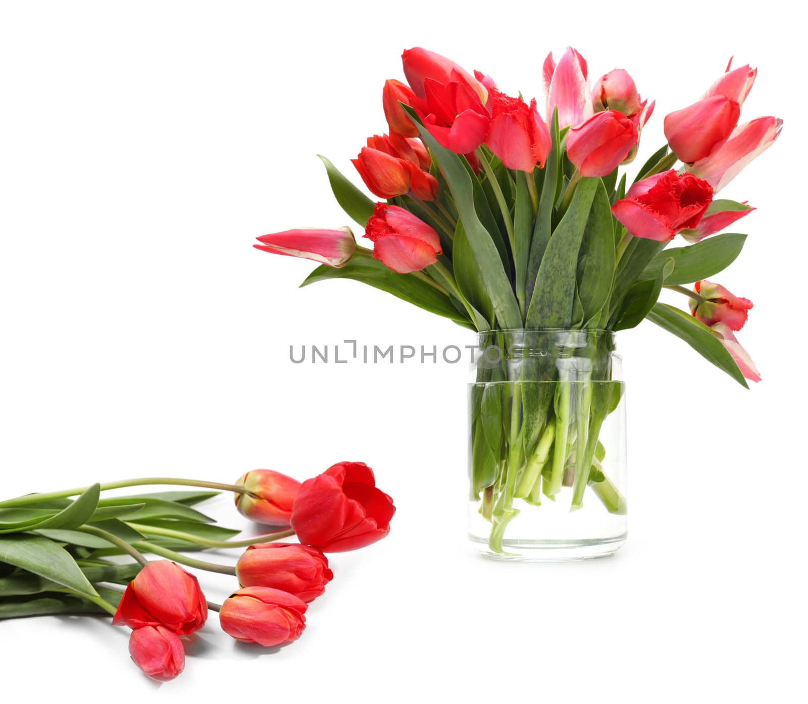 bouquet of tulip flowers