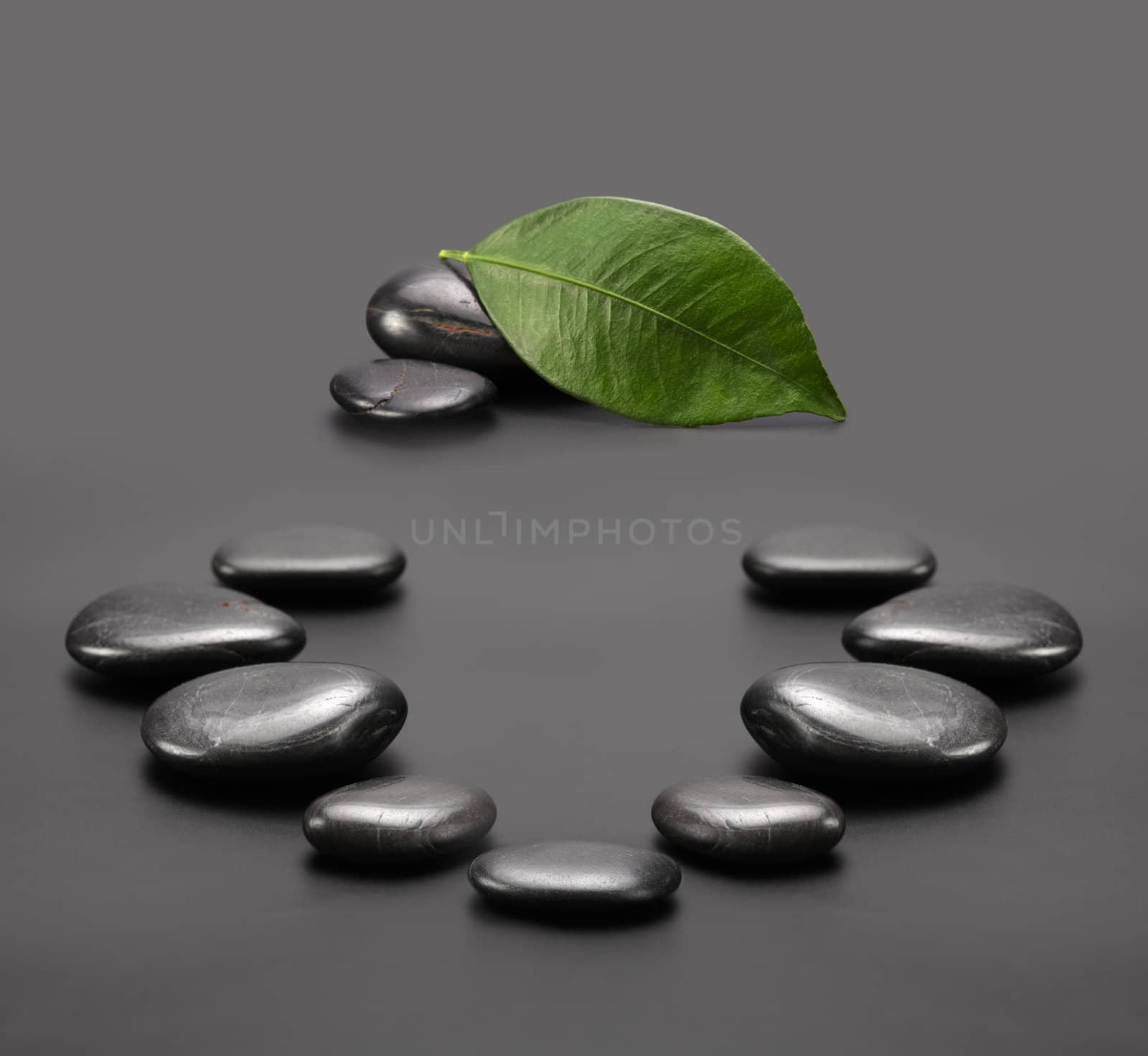 black stones with green leaf by rudchenko