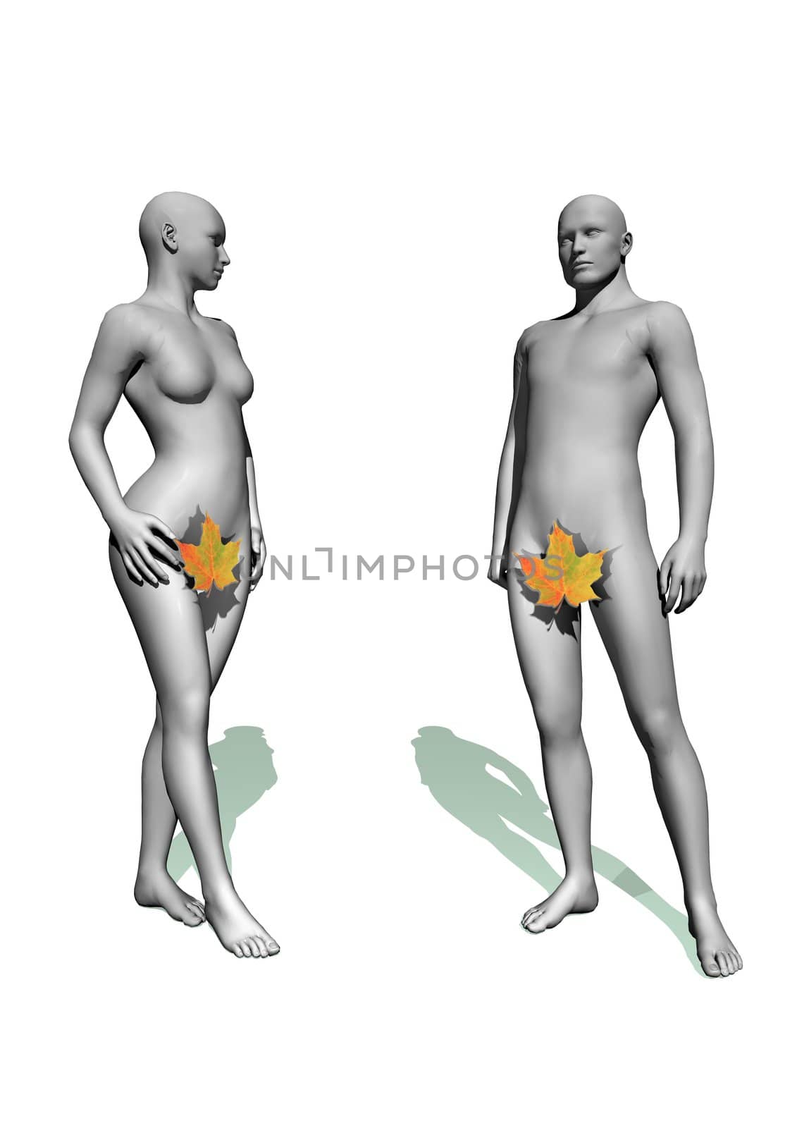Naked Adam and Eve with a leaf in white background