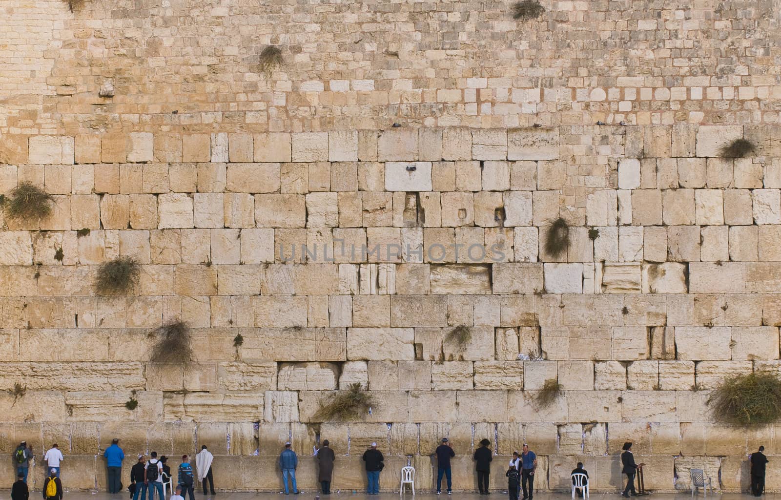 JEUSALEM - NOVEMBER 03 2011: The Westren wall an Important Jewish religious site located in the Old City of Jerusalem 