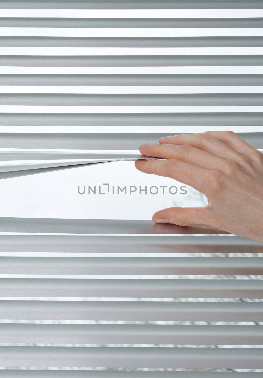 Female hand opening metallic venetian blinds for peeking.