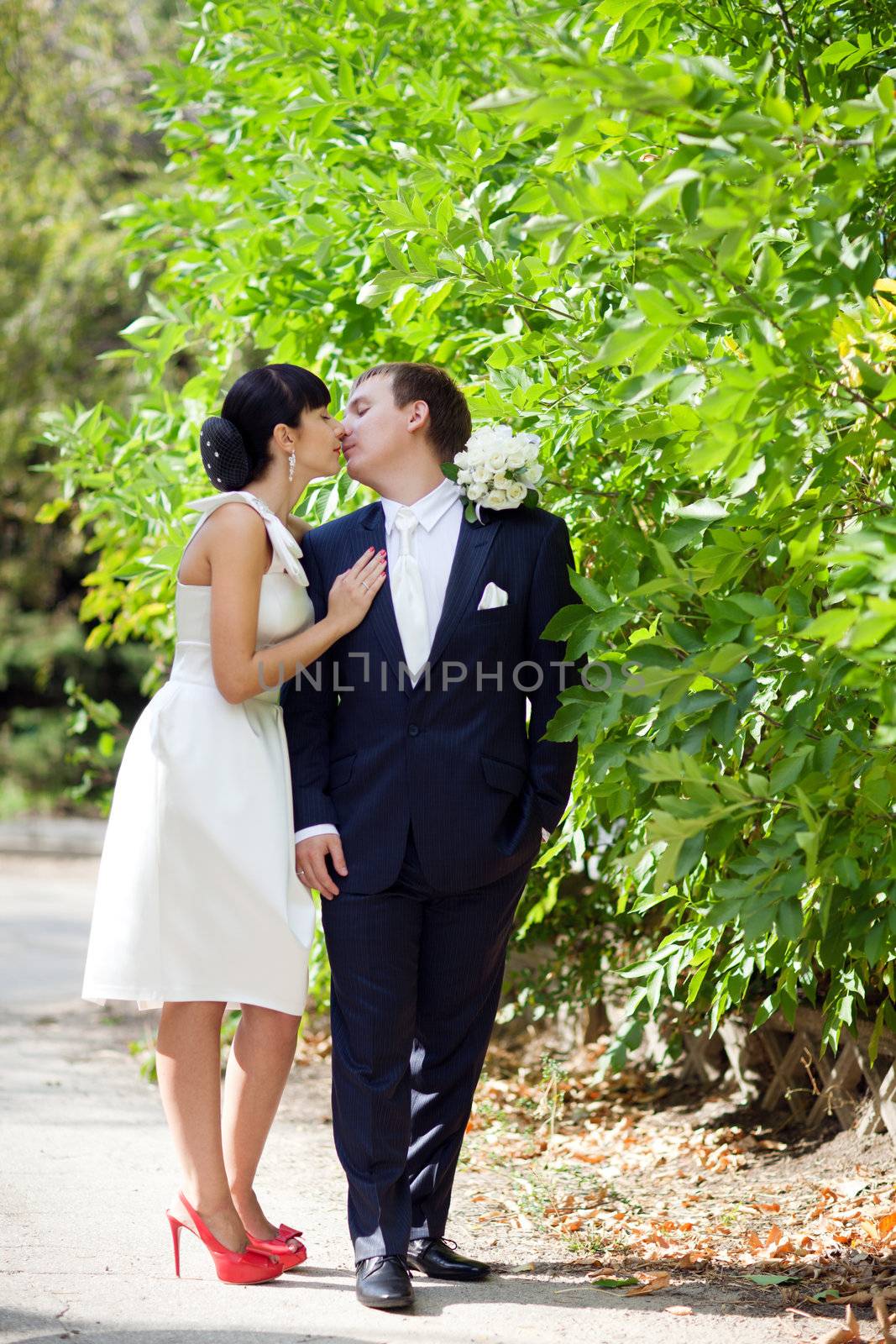 bride and groom near the bush