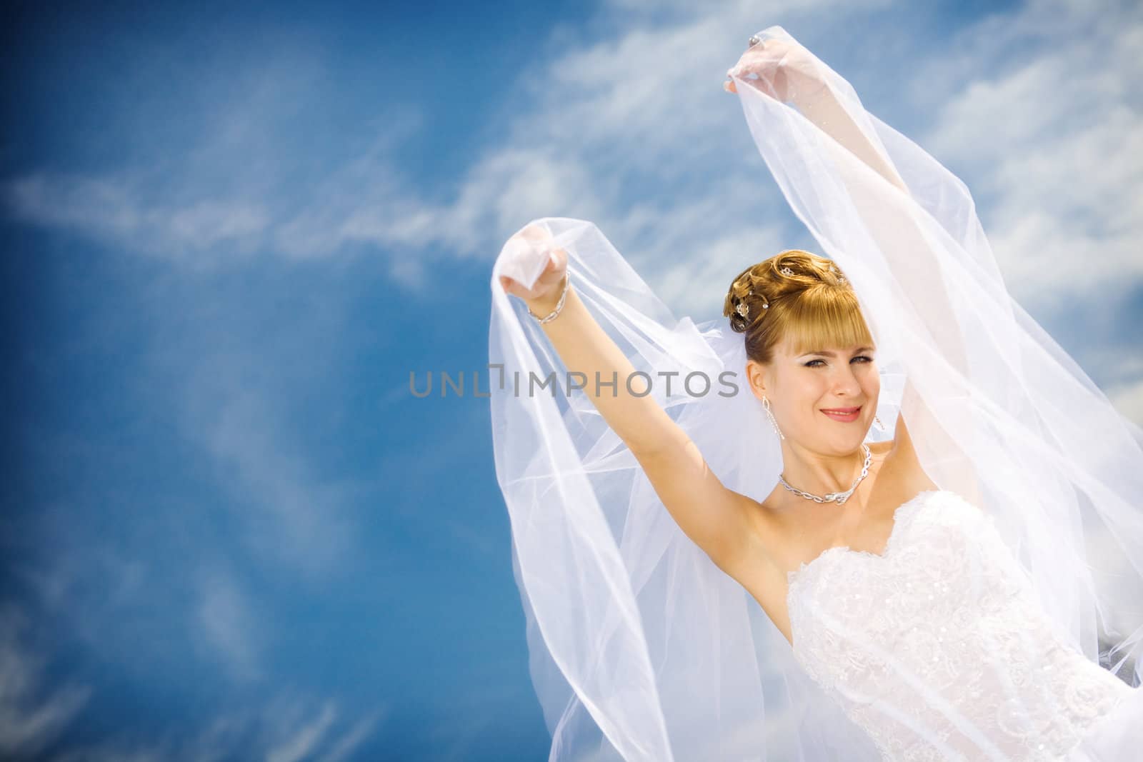 bride and veil by vsurkov