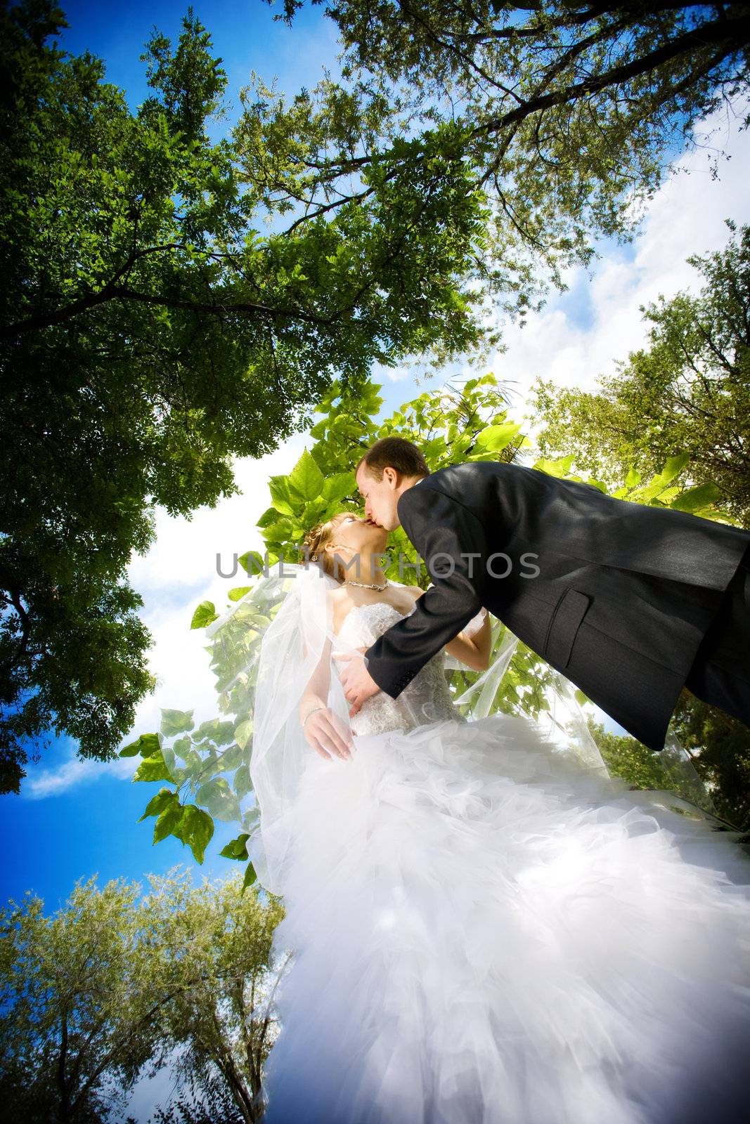 kiss of bride and groom by vsurkov