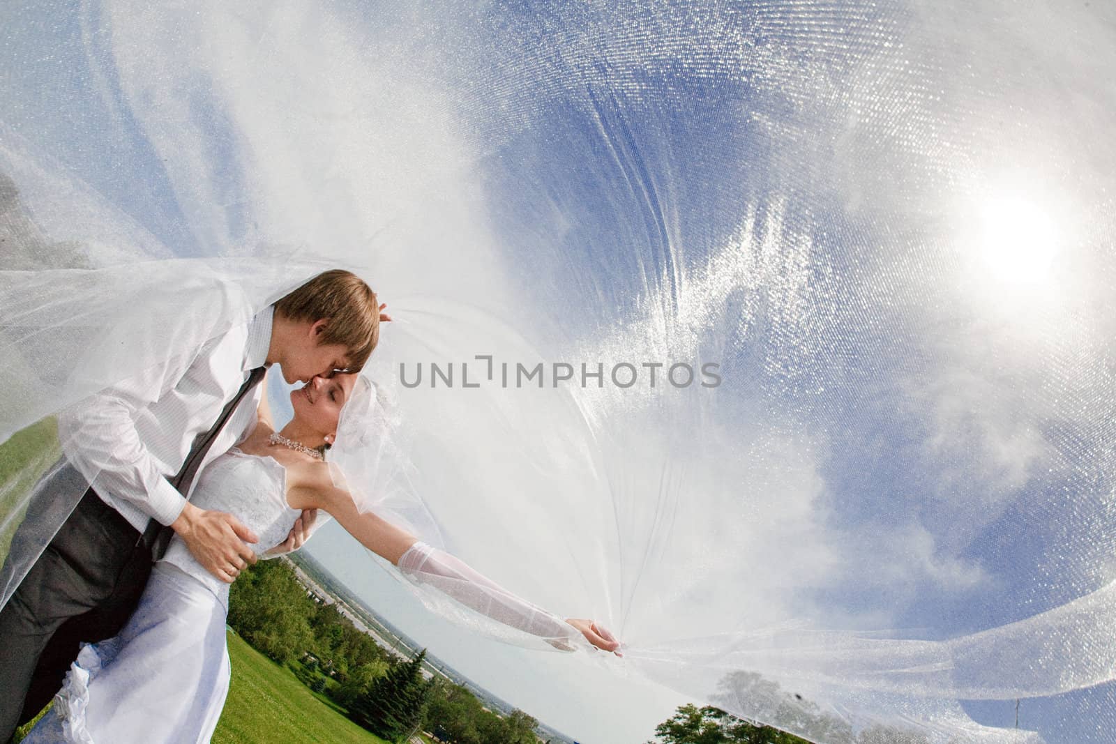 kiss of two under the veil