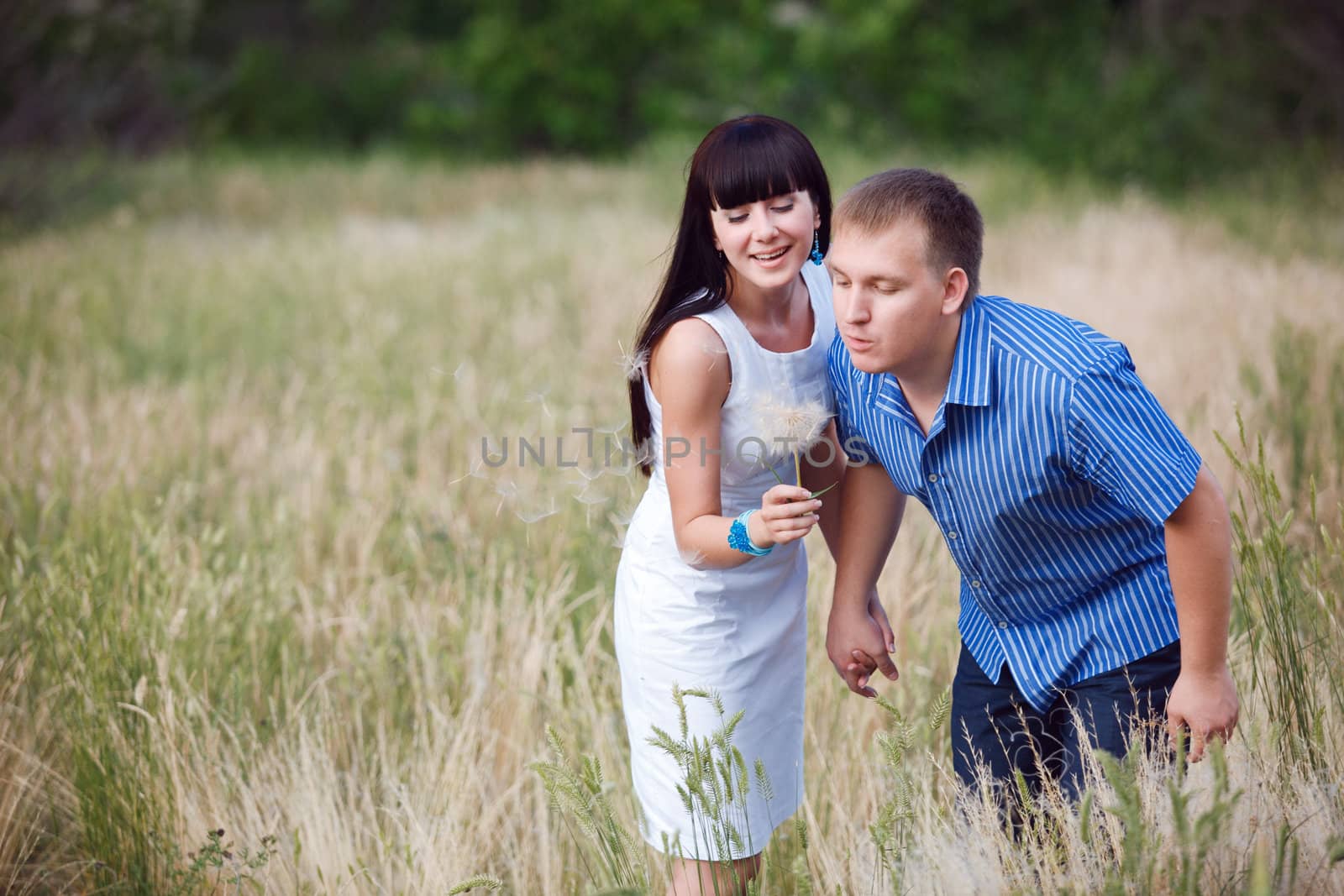 couple blowing on the dandelion