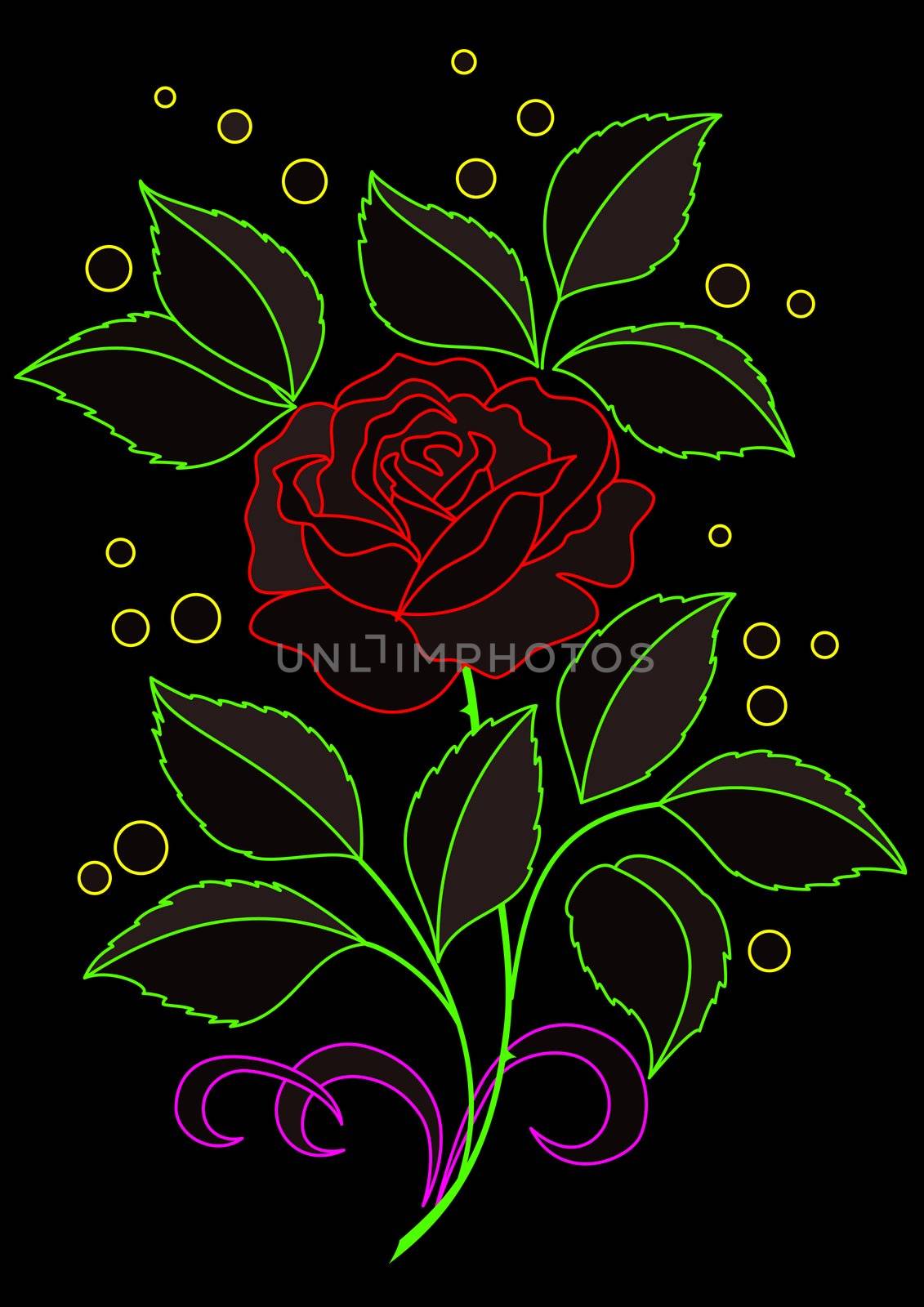 Flower rose with leaves and confetti. Colored silhouettes on black background