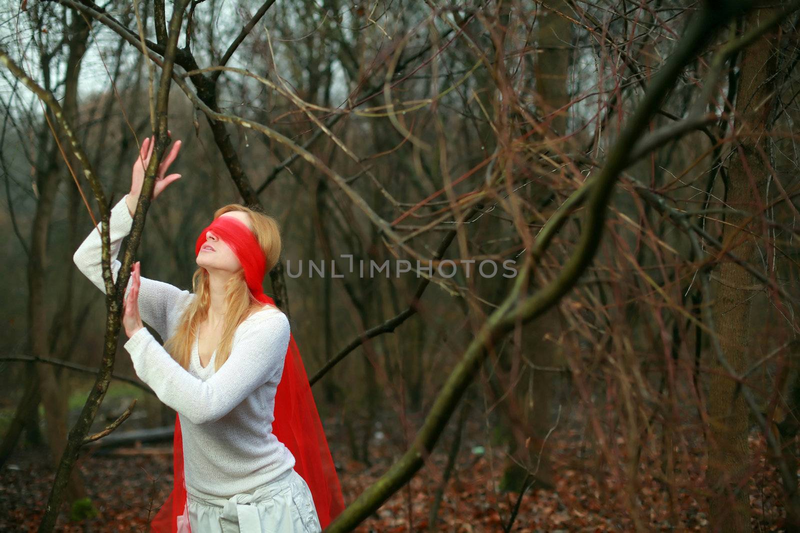 An image of blindfolded woman in dark forest