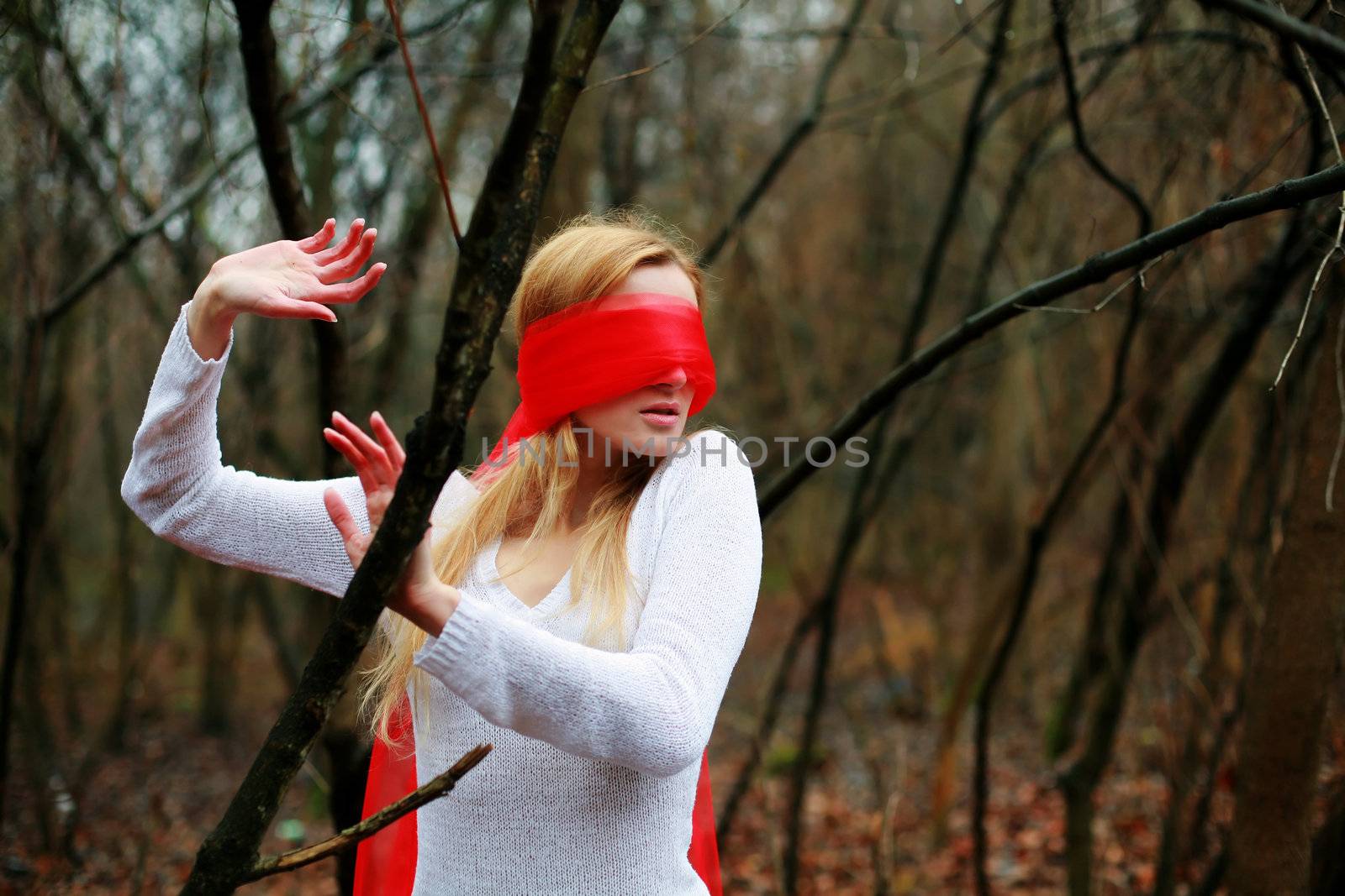 An image of blindfolded nice woman in the forest