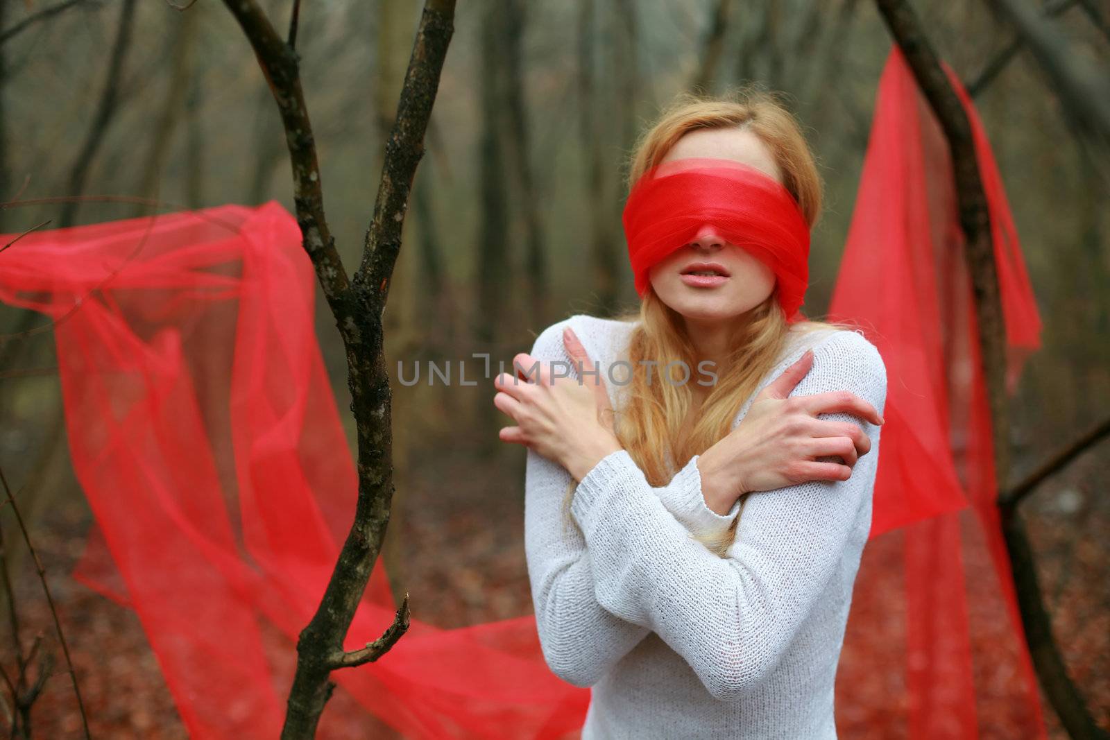 An image of blindfolded nice woman in the forest