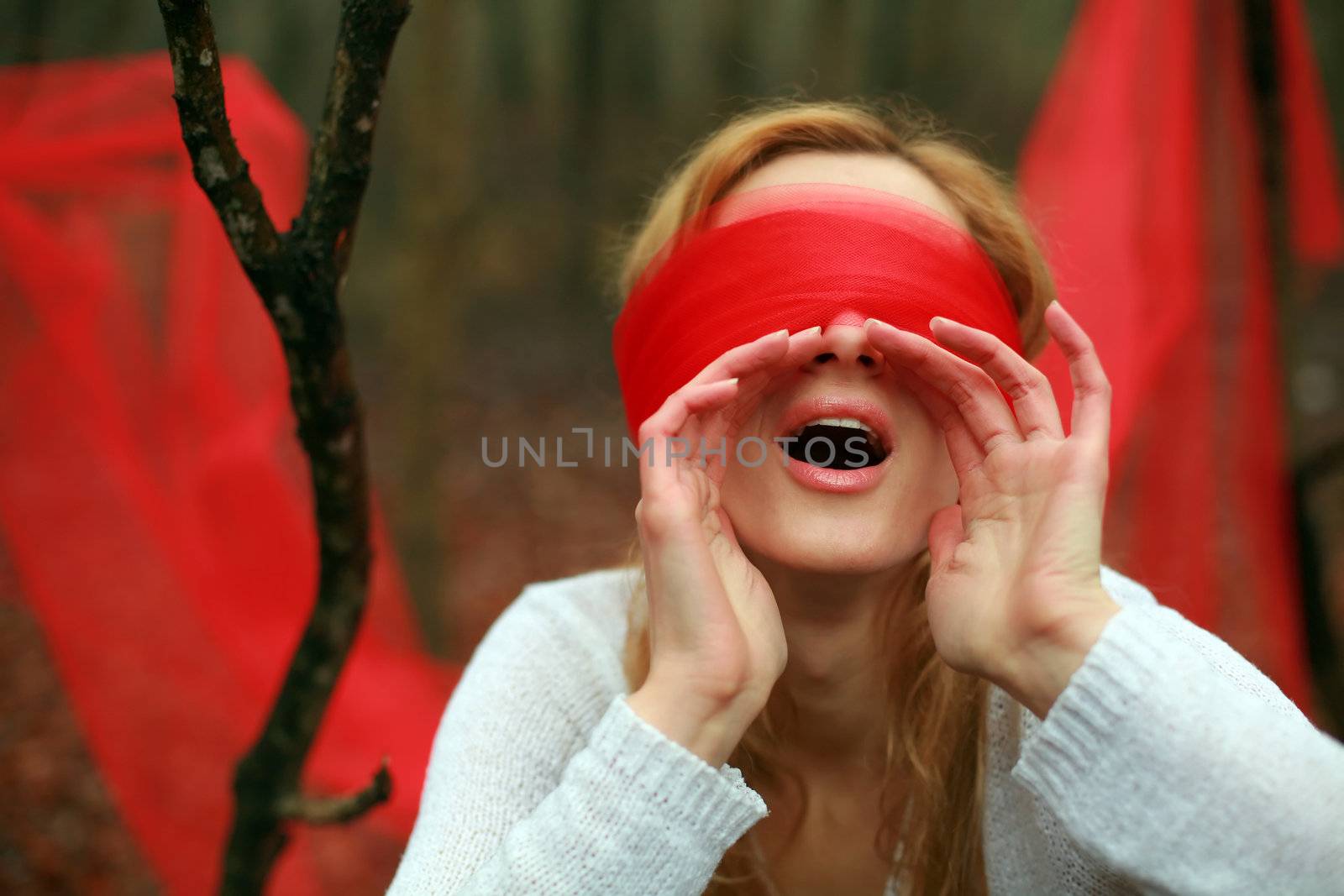 An image of blindfolded woman in the woods