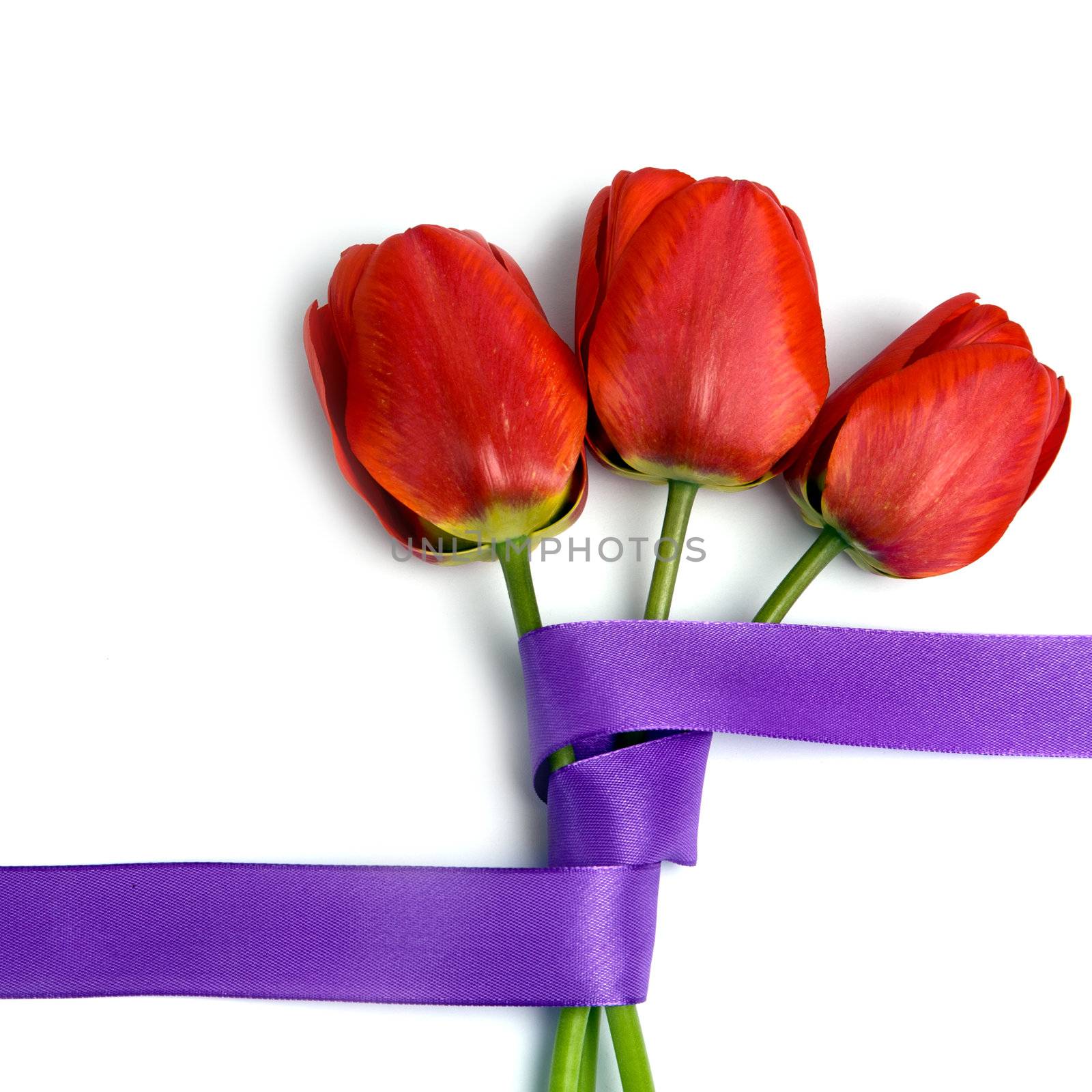 An image of three red tulips with violet ribbon