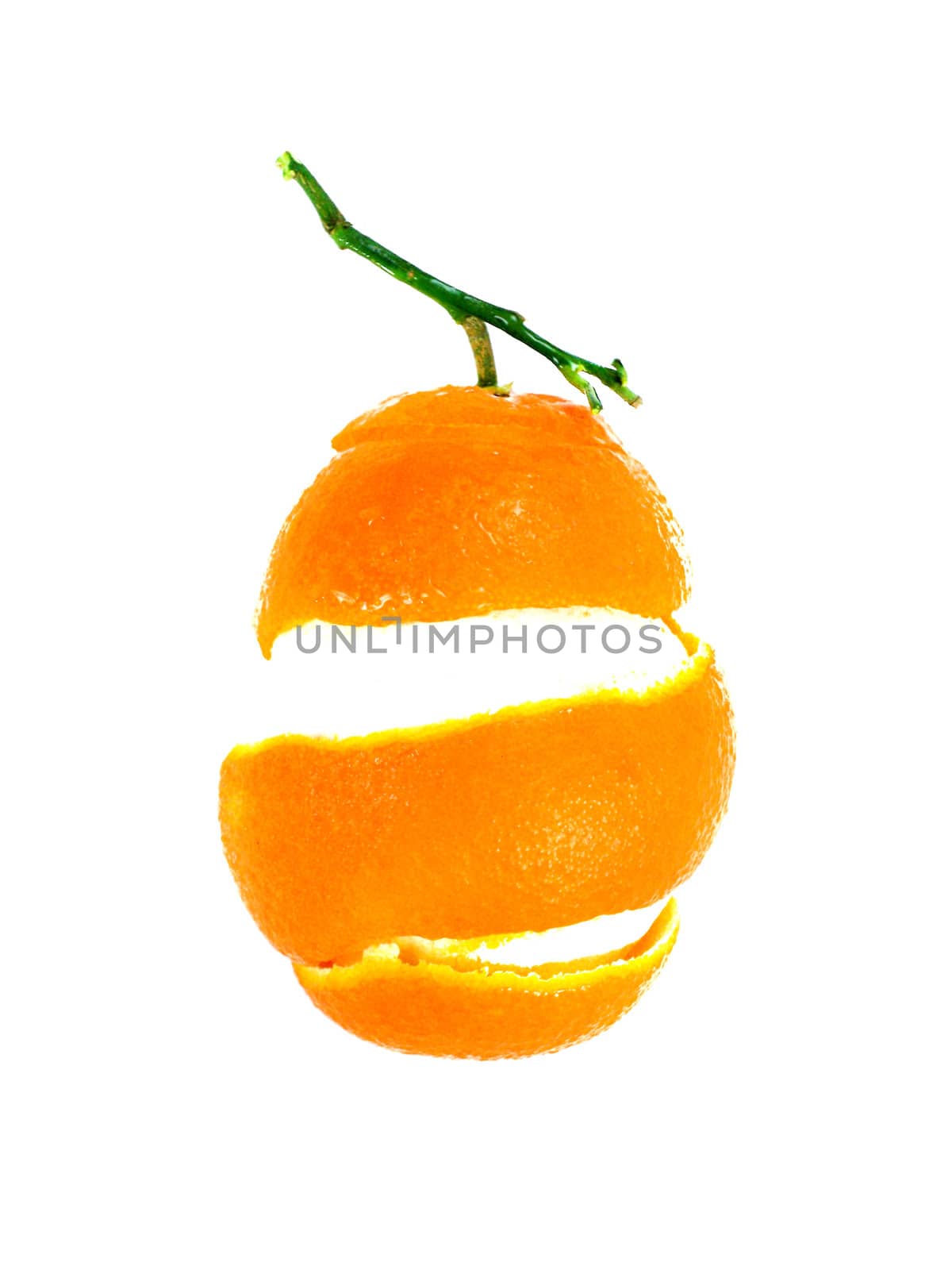 Peel of an orange isolated on white background