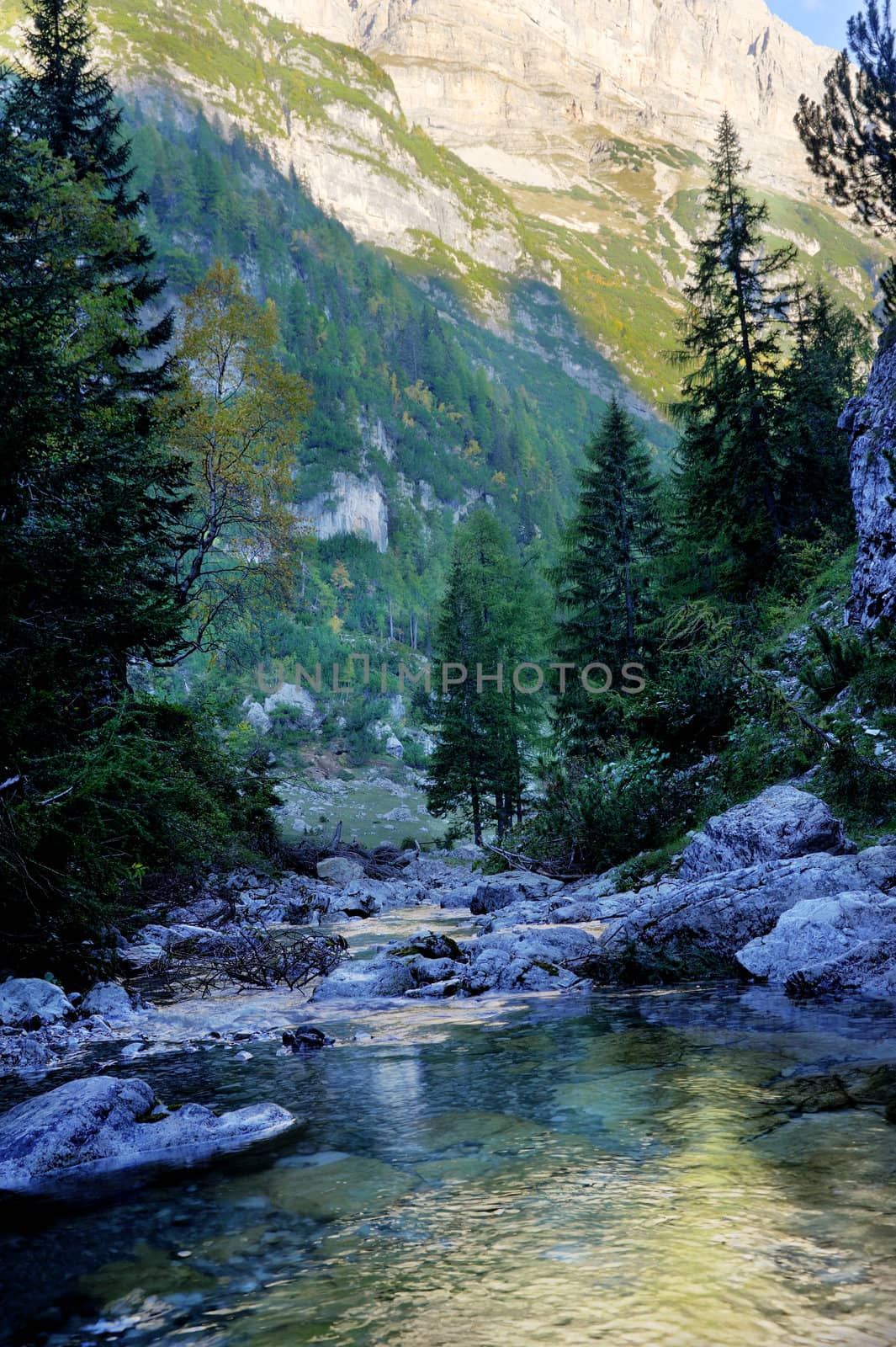 River in mountains in the italian alps