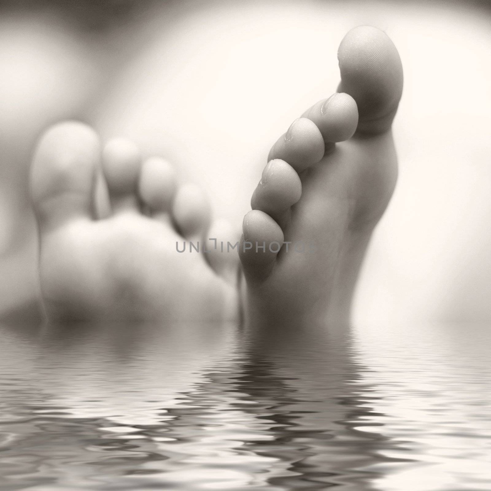 Little foots by velkol