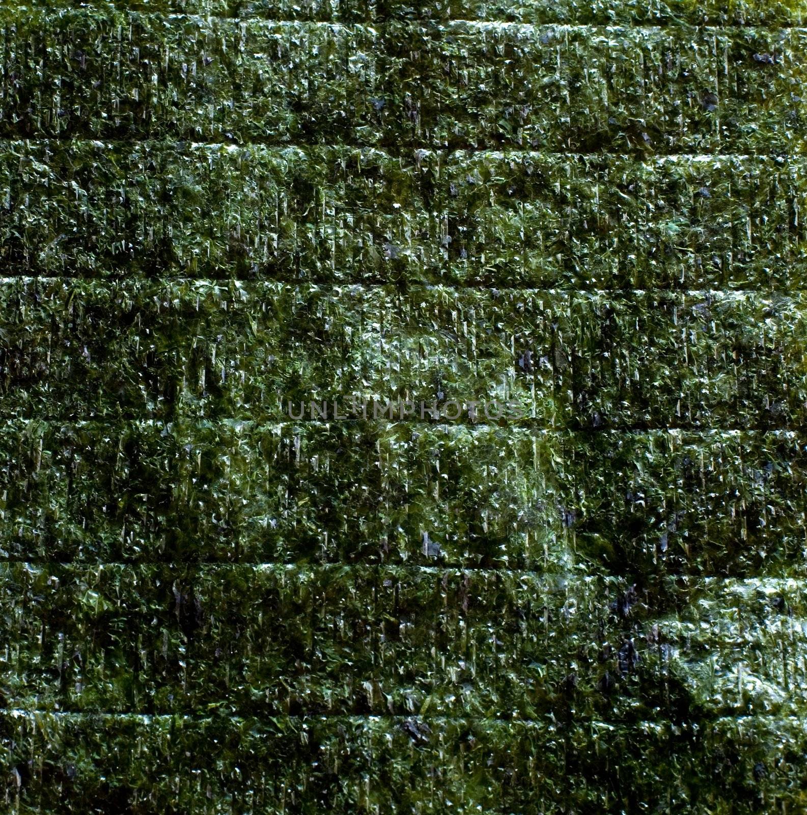 An image of green leaf of dried nori