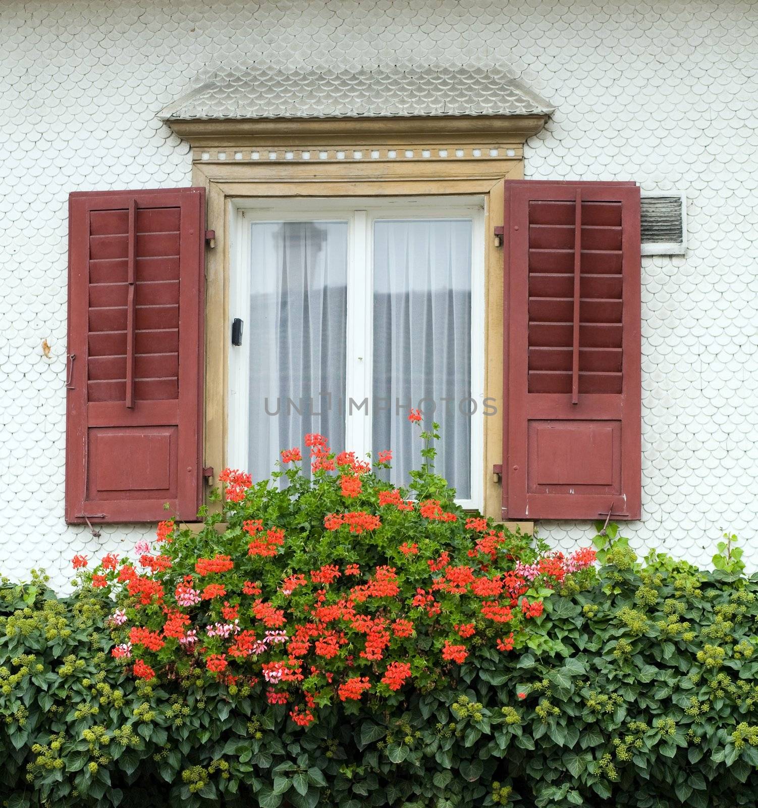 An image of a window and a bunch of flowers