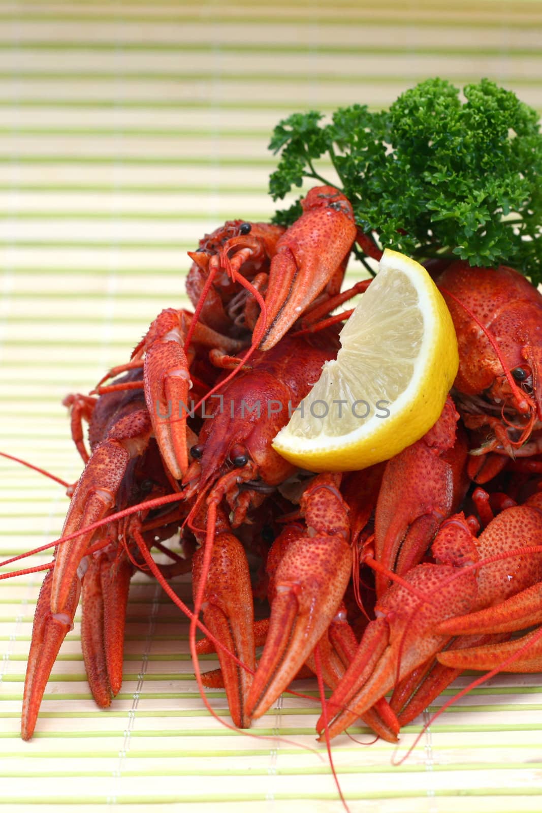 Hot boiled crayfish on striped background