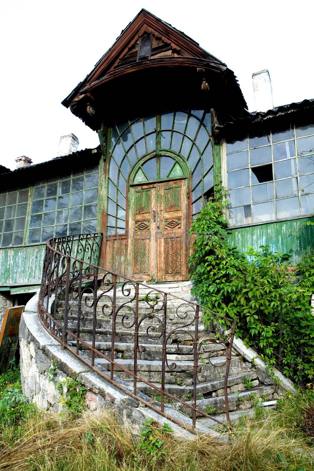 An image of old house with wild grapes