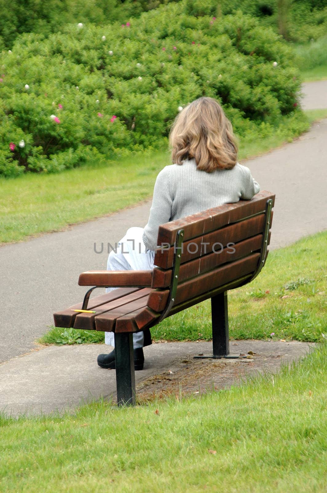 Park bench. by oscarcwilliams