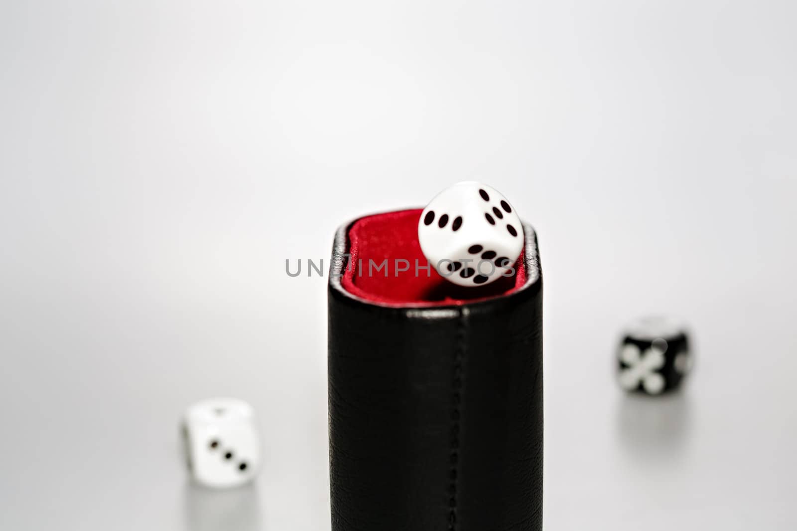 A dice with dice cup by Roka