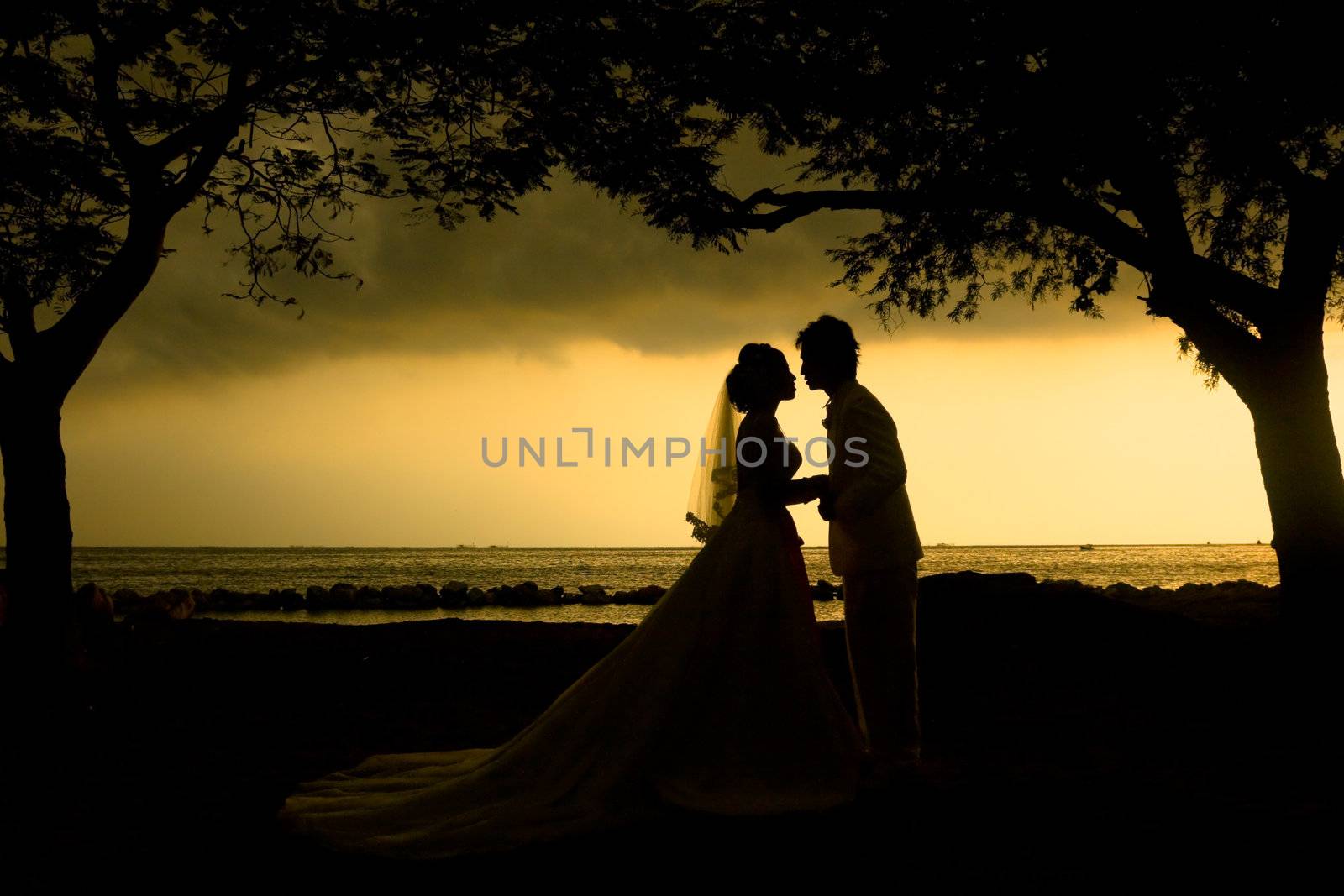 Wedding couple silhouette by phalakon