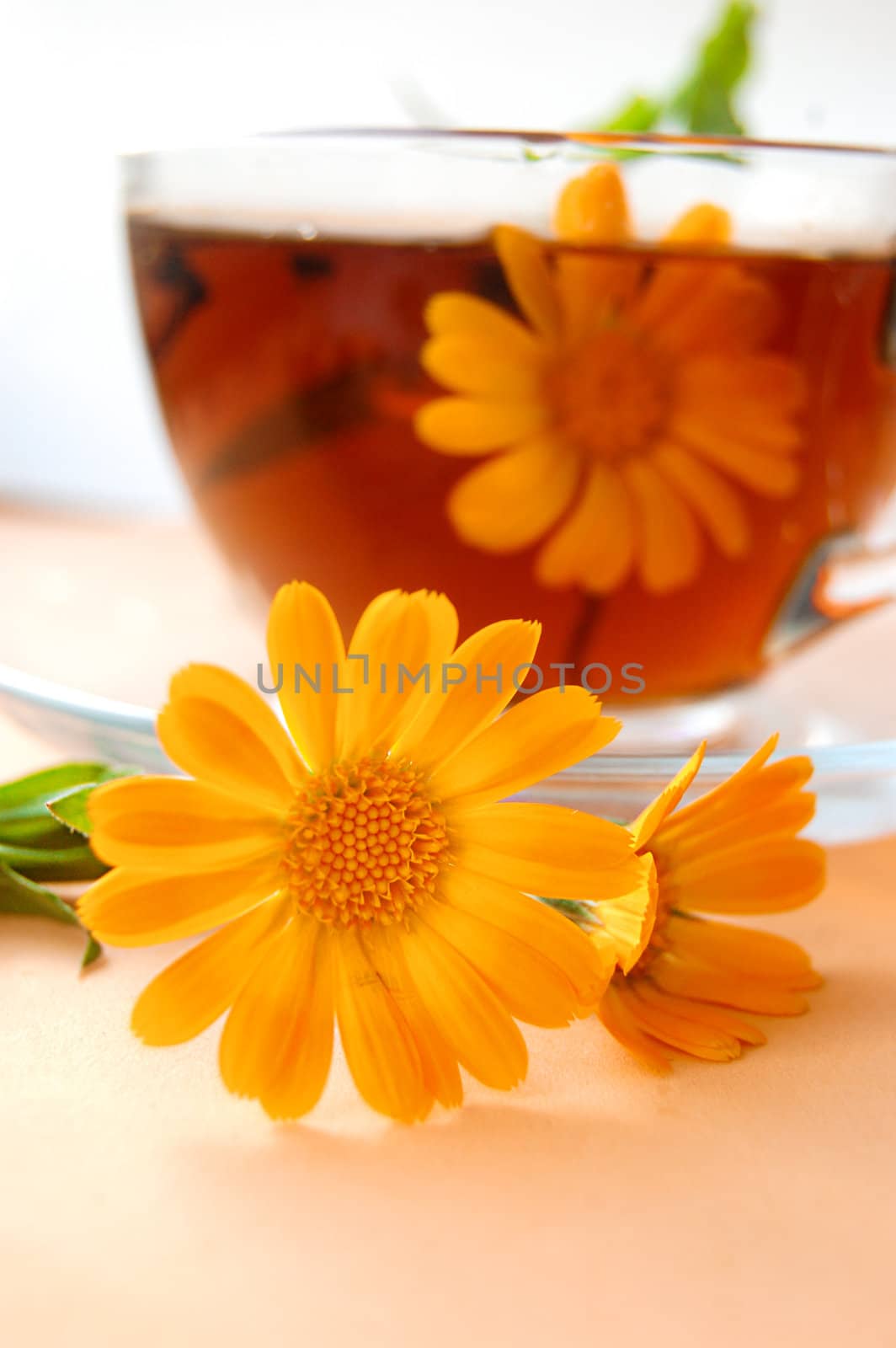 Curative tea with calendula on orange back