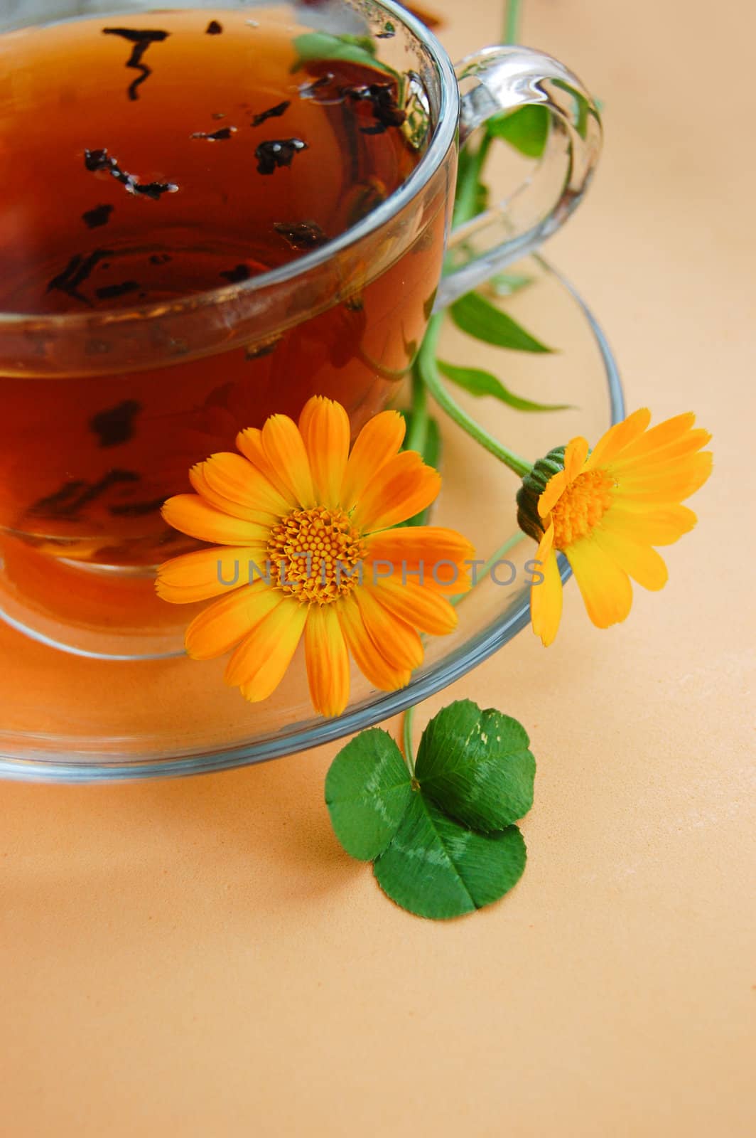 Curative tea with calendula flowers on orange background