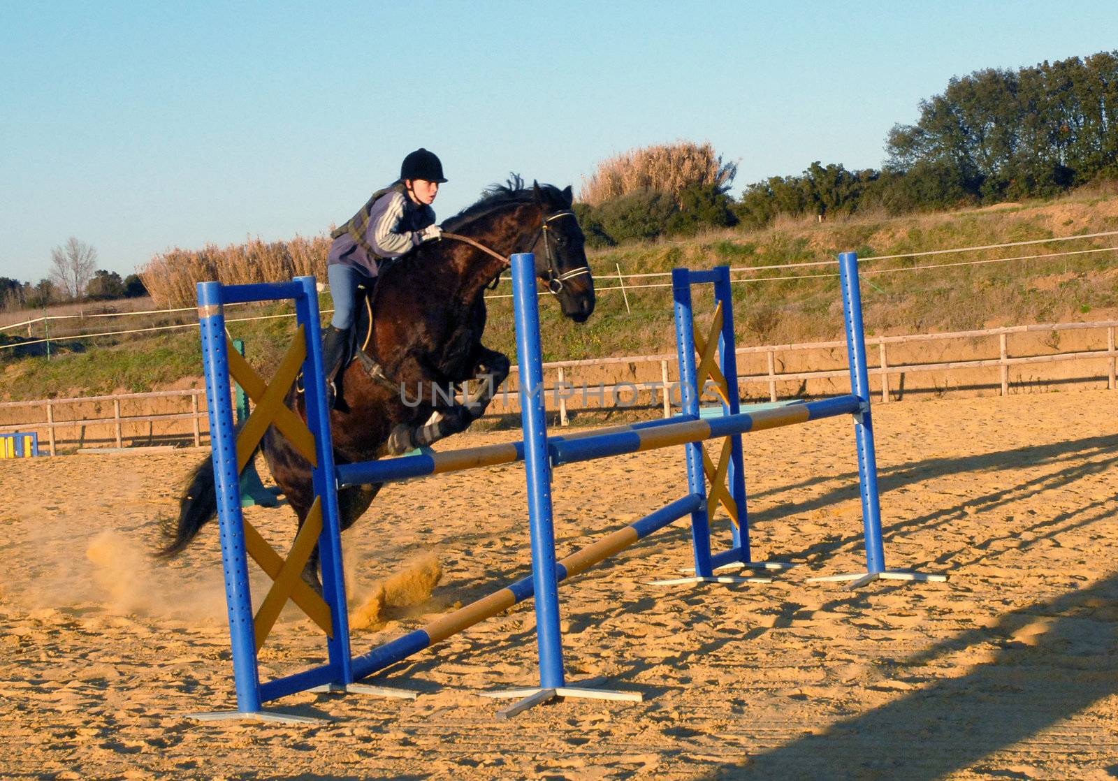 training for competition of jumping for an horse and her riding girl