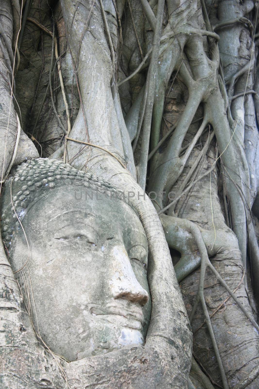 Buddha Head by BengLim