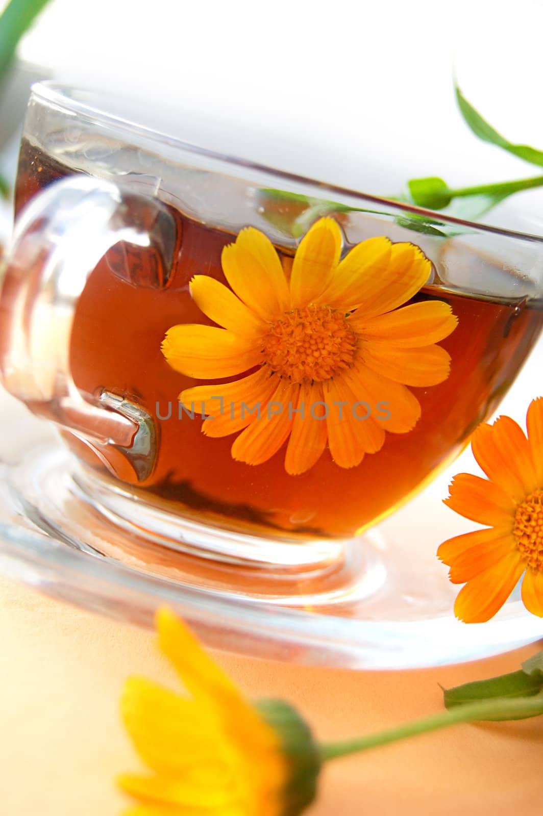 Curative tea with calendula flowers by Angel_a