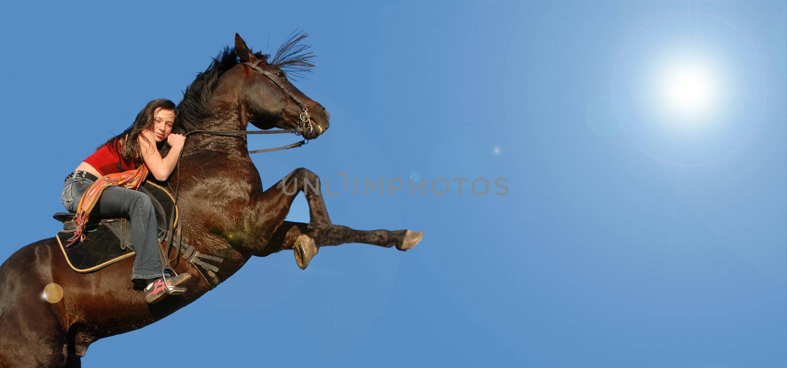 young woman and her beautiful black stallion rearing up