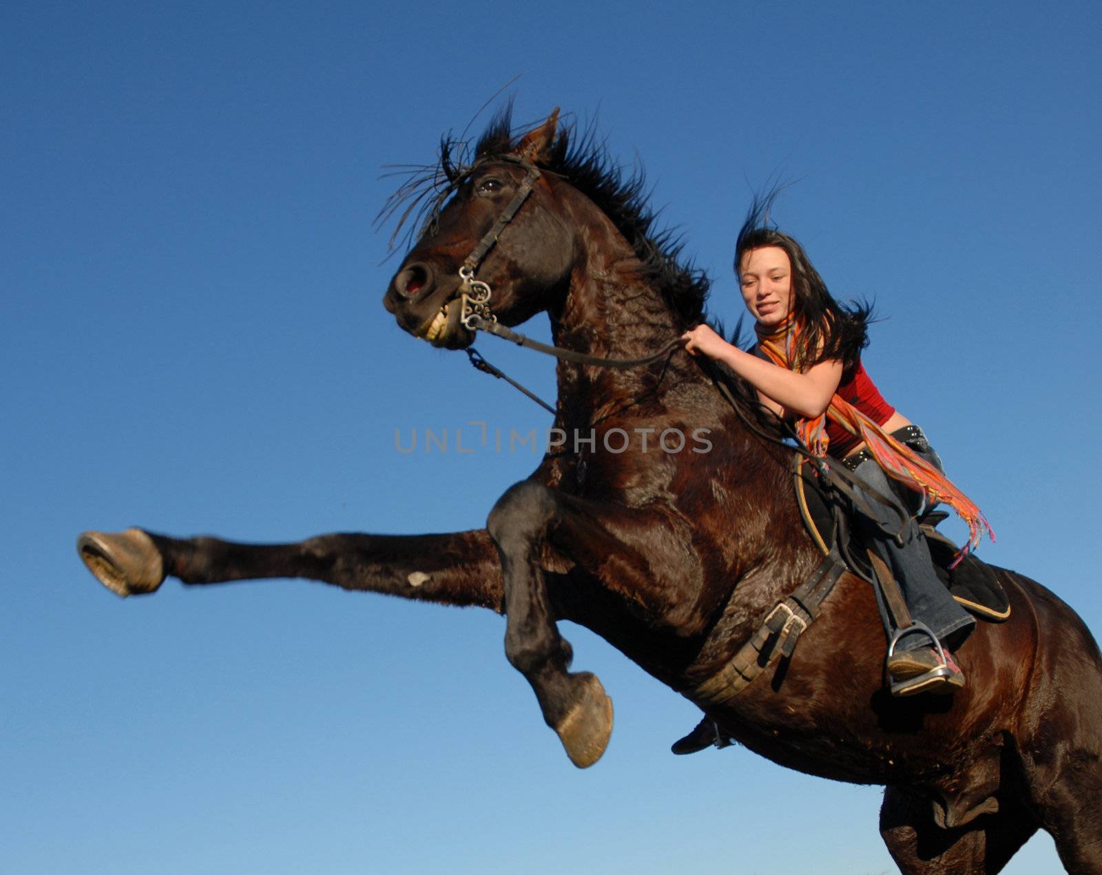 young woman and her rearing stallion outdoors