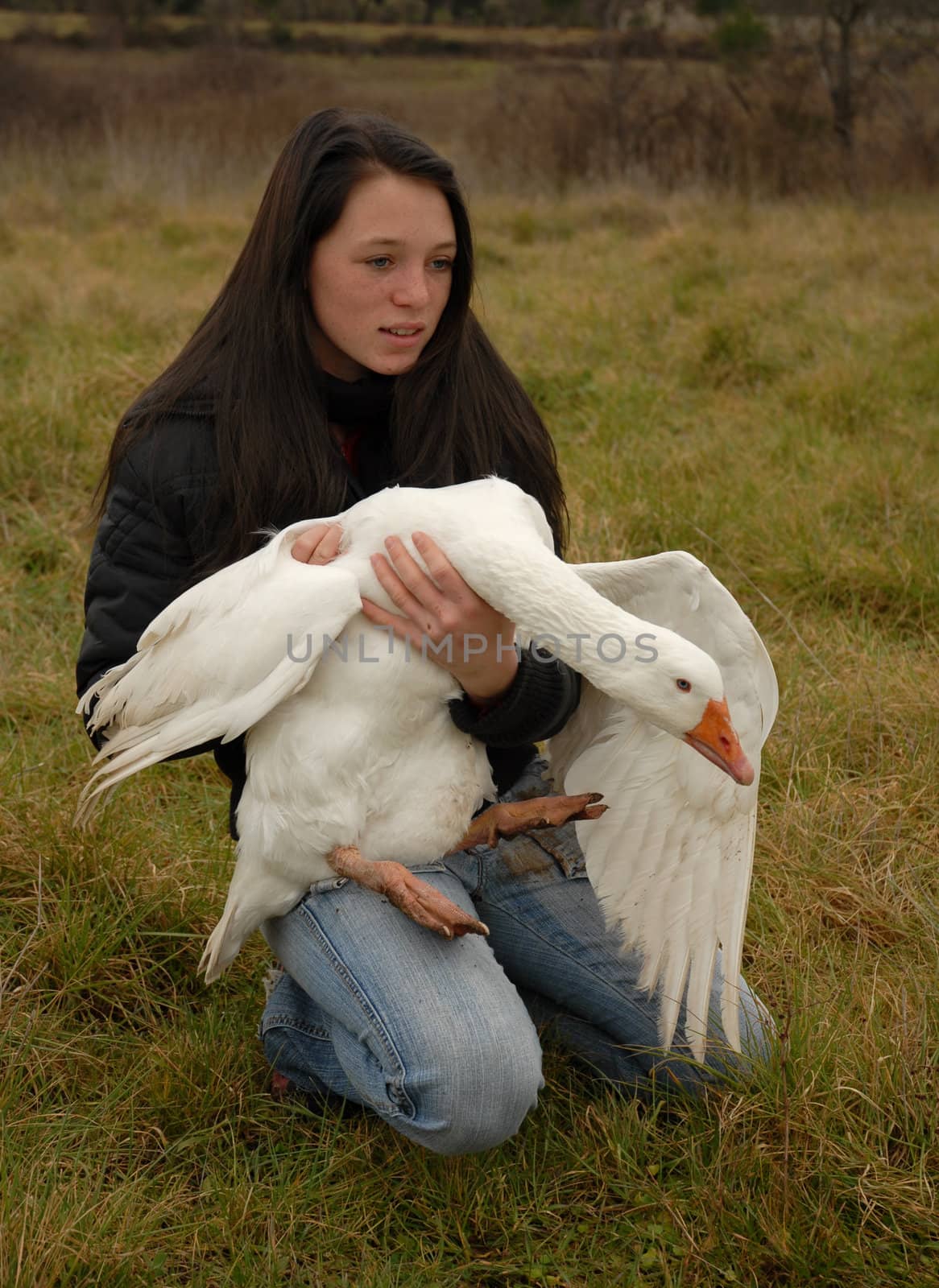 teenager and goose by cynoclub