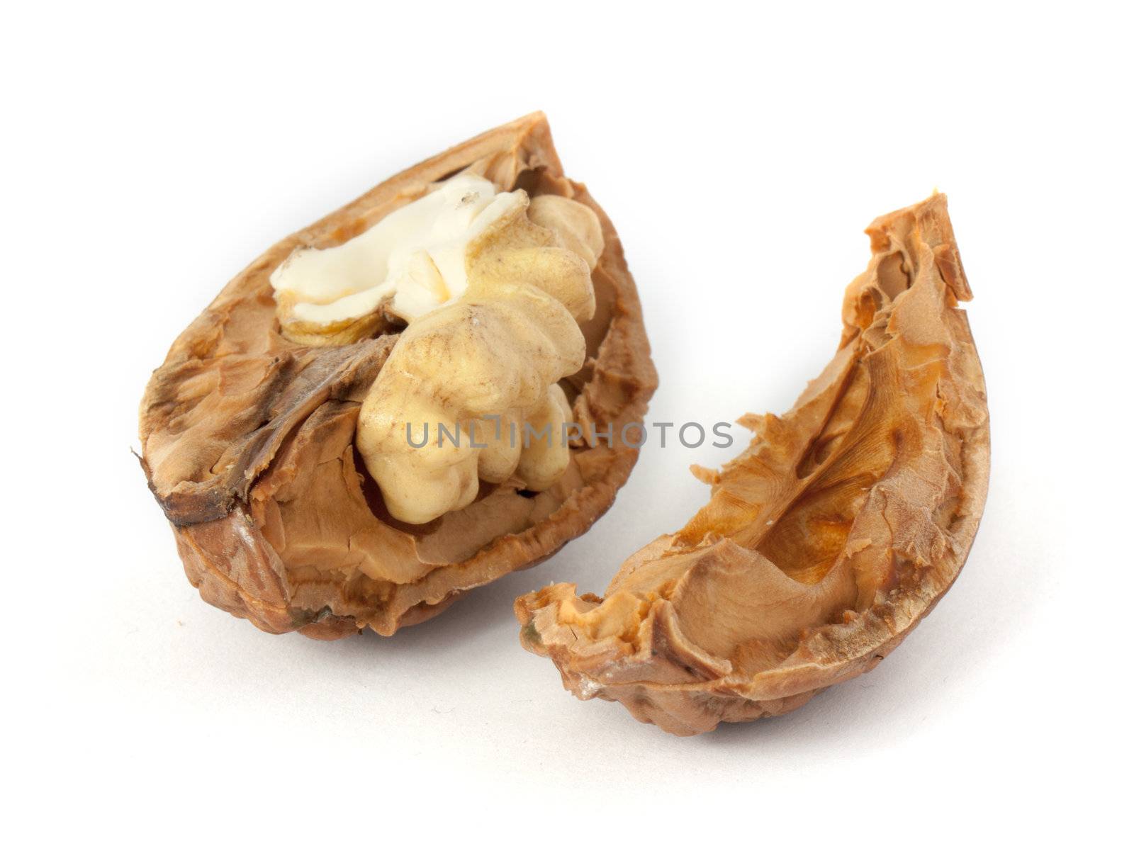 Walnut isolated on white background