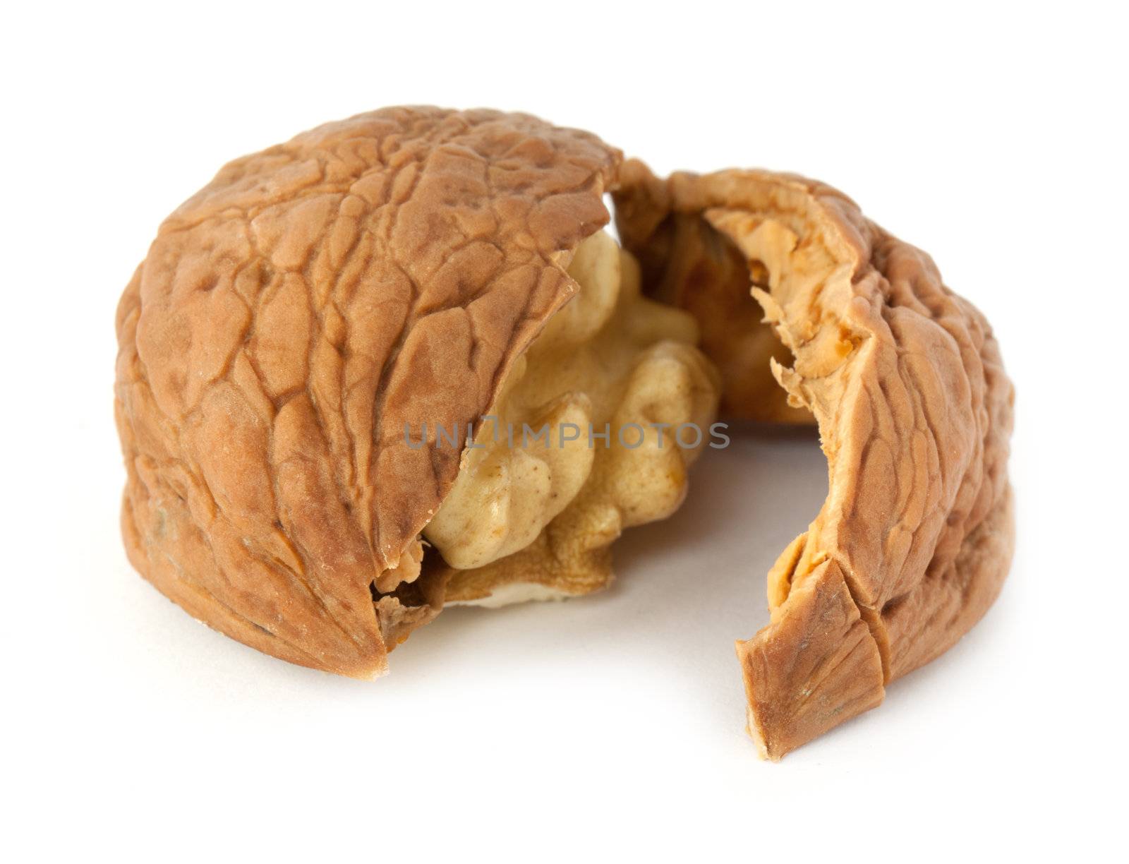 Walnut isolated on white background