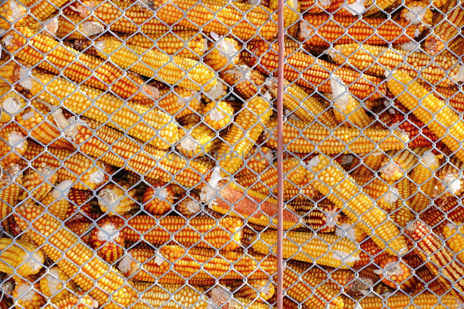 popcorn ingredients stocked in a silo