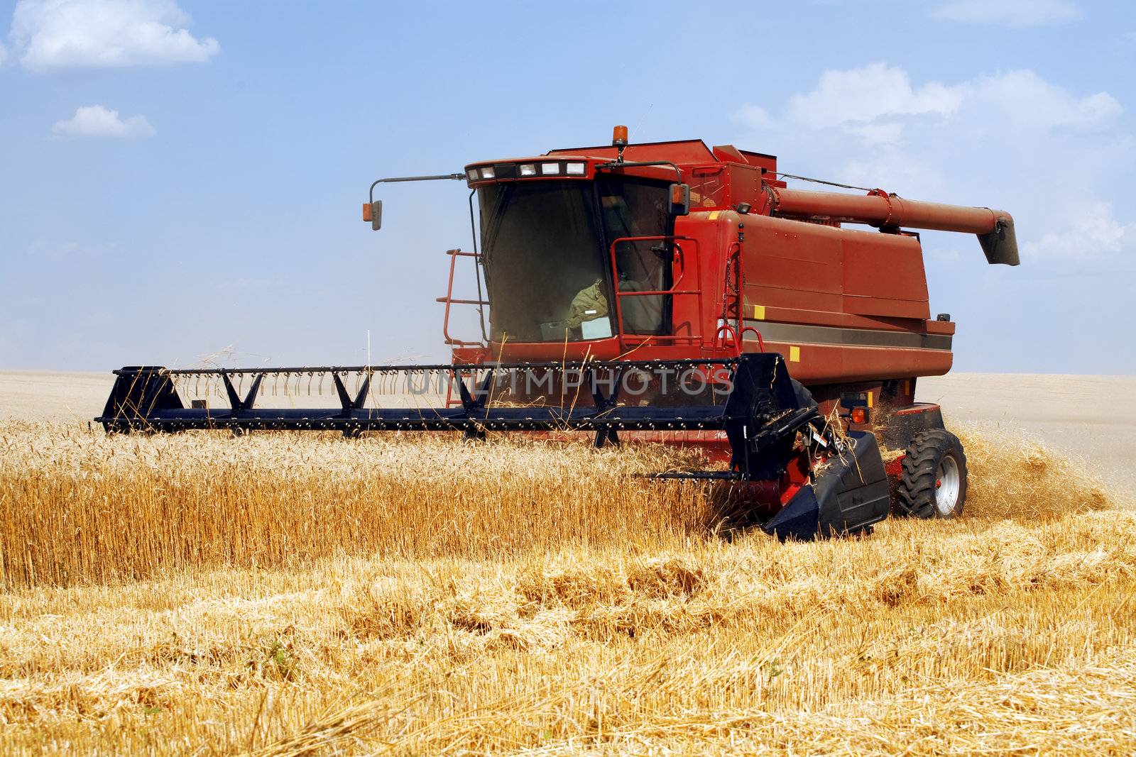 harvester in the field of gold wheat against the blue sky