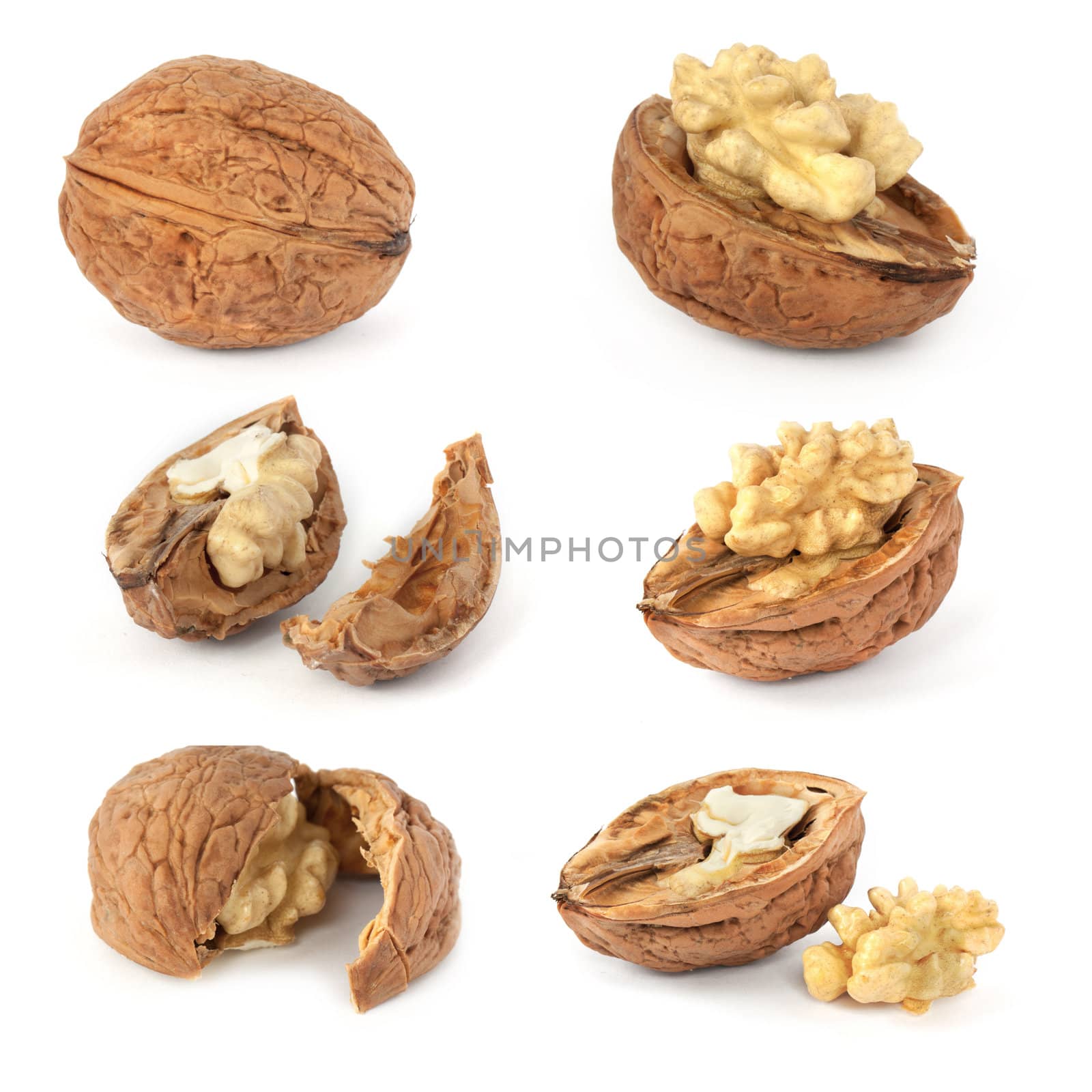 Walnuts isolated on white background